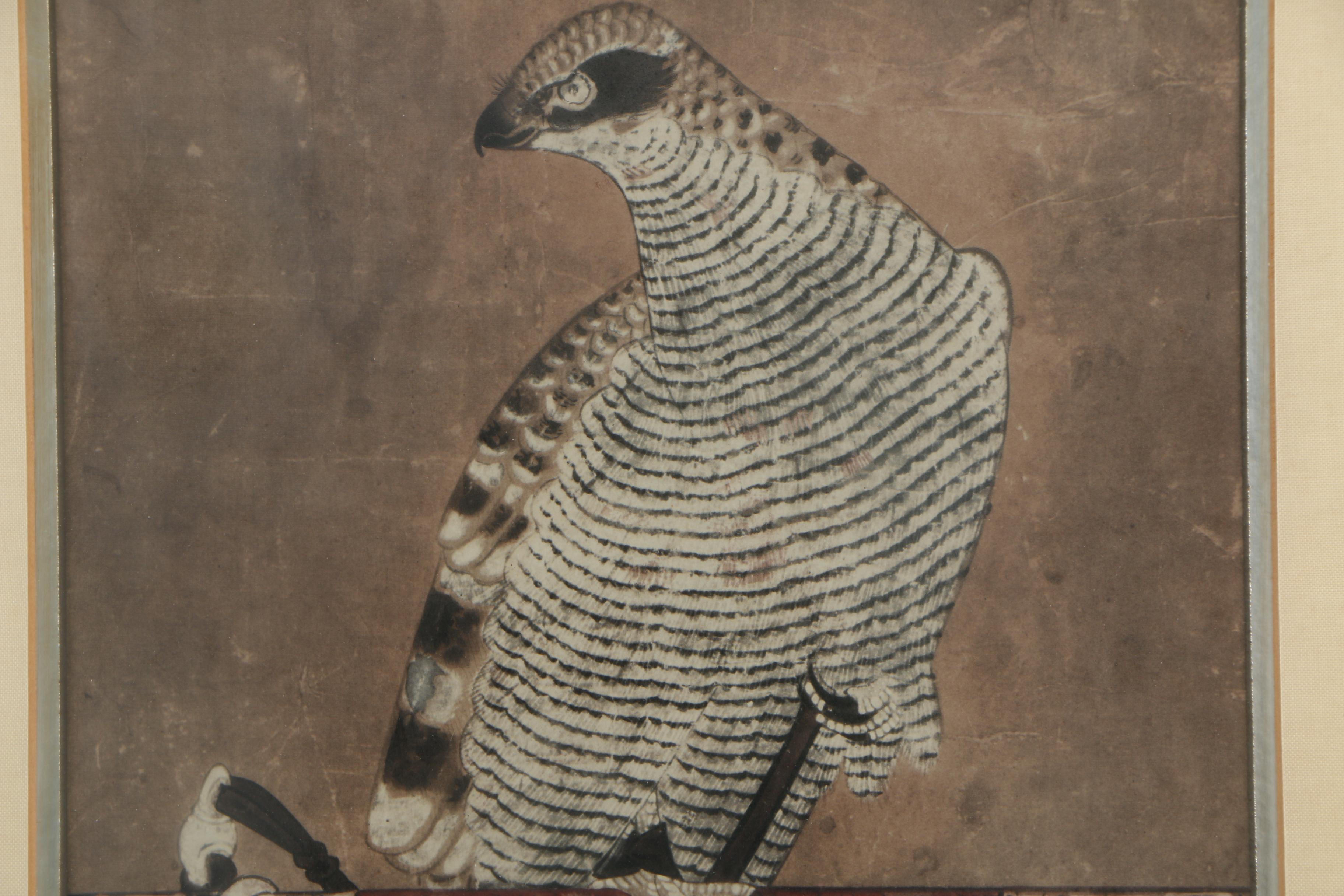 Offset Lithographic Falcon Reproduction Print