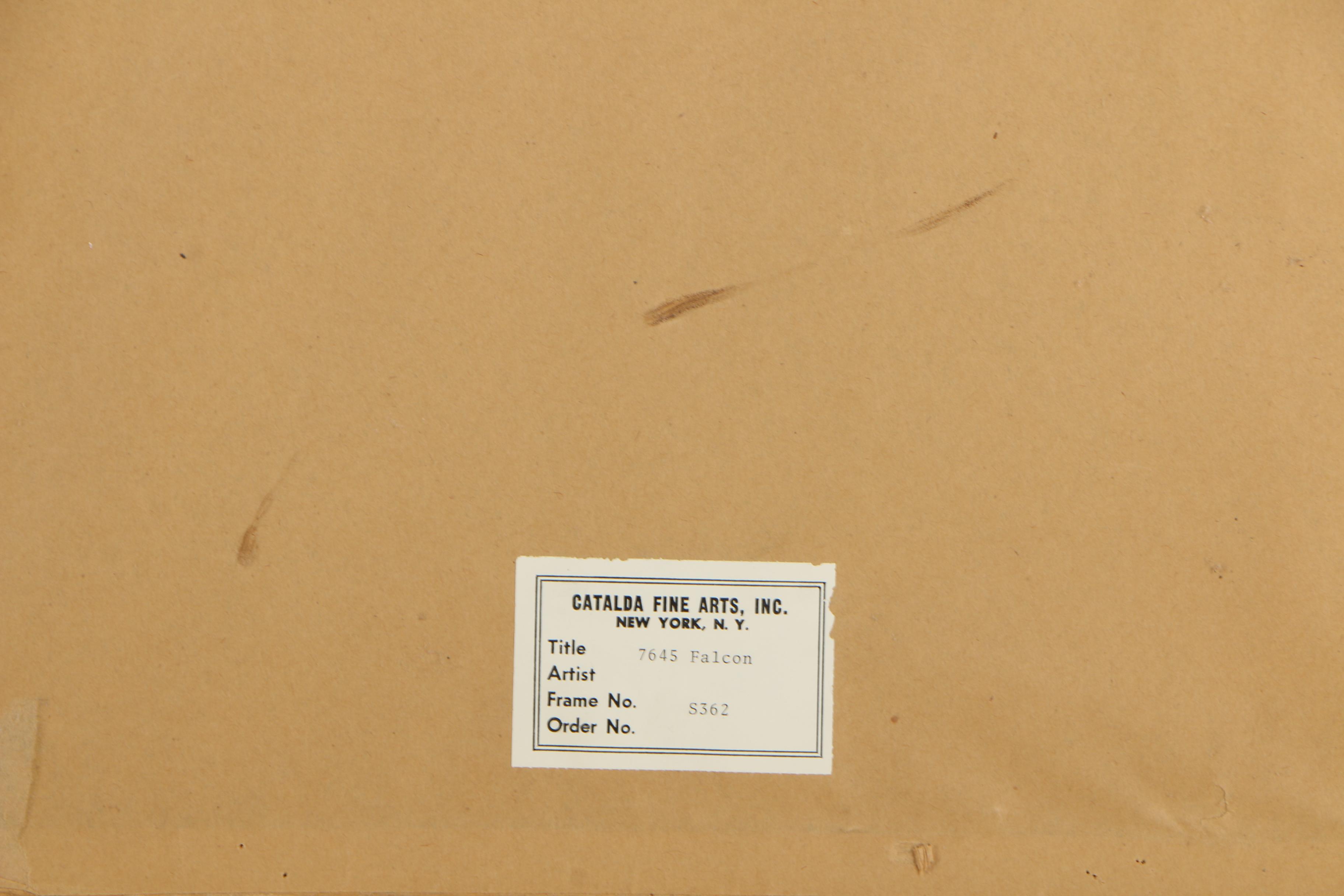 Offset Lithographic Falcon Reproduction Print