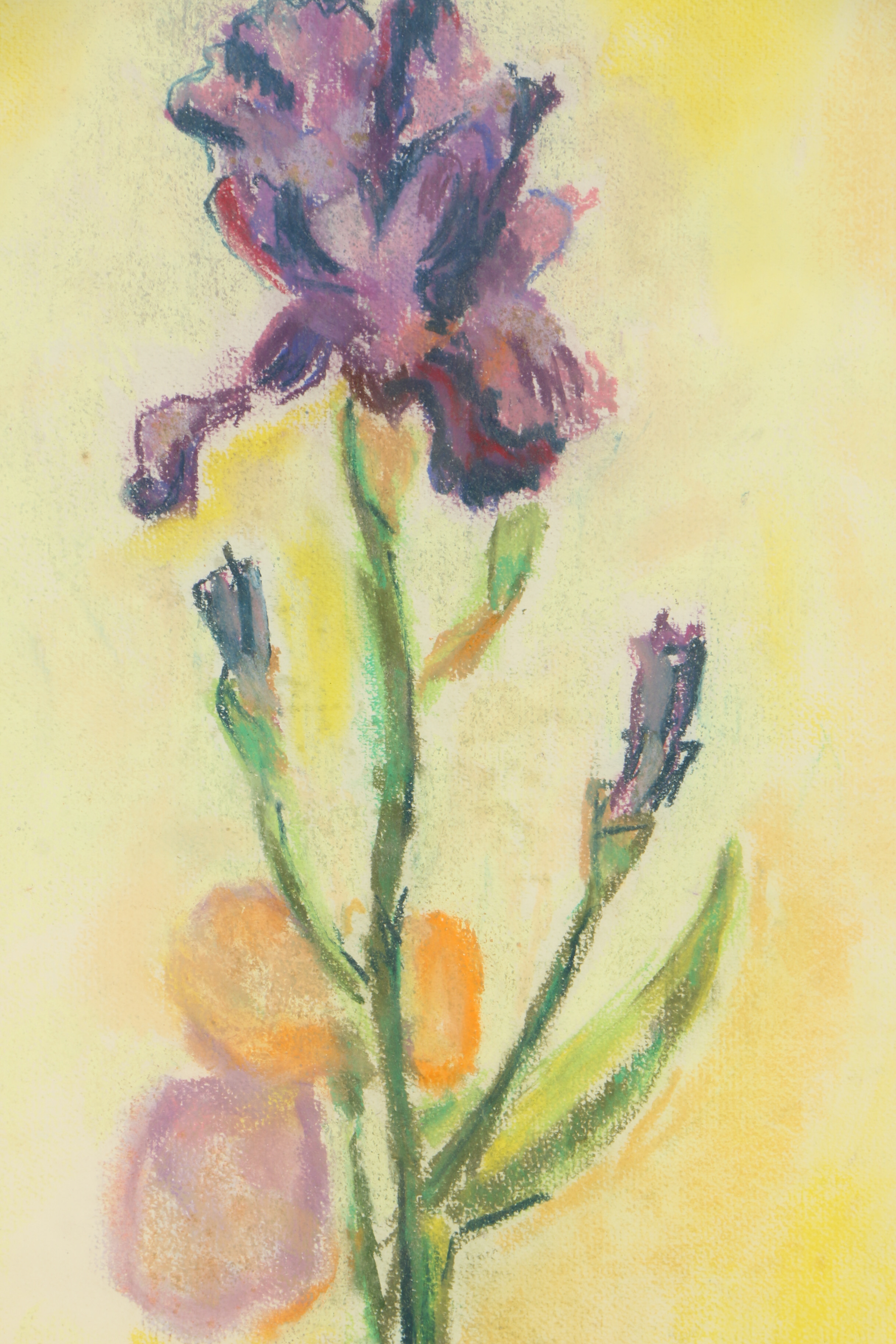 Jane Peterson Pastel Drawing