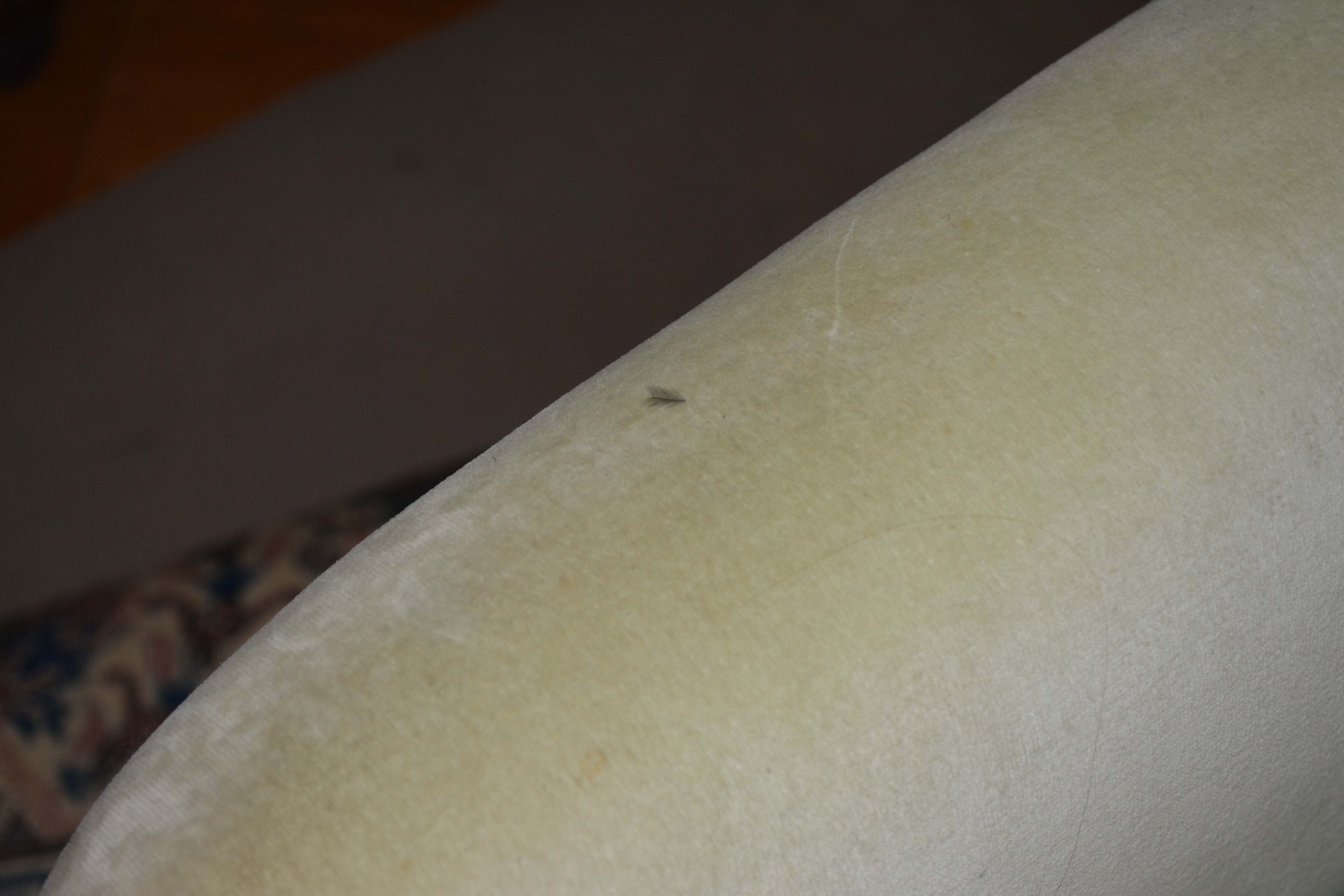 Vintage Regency Style Green Upholstered Love Seat