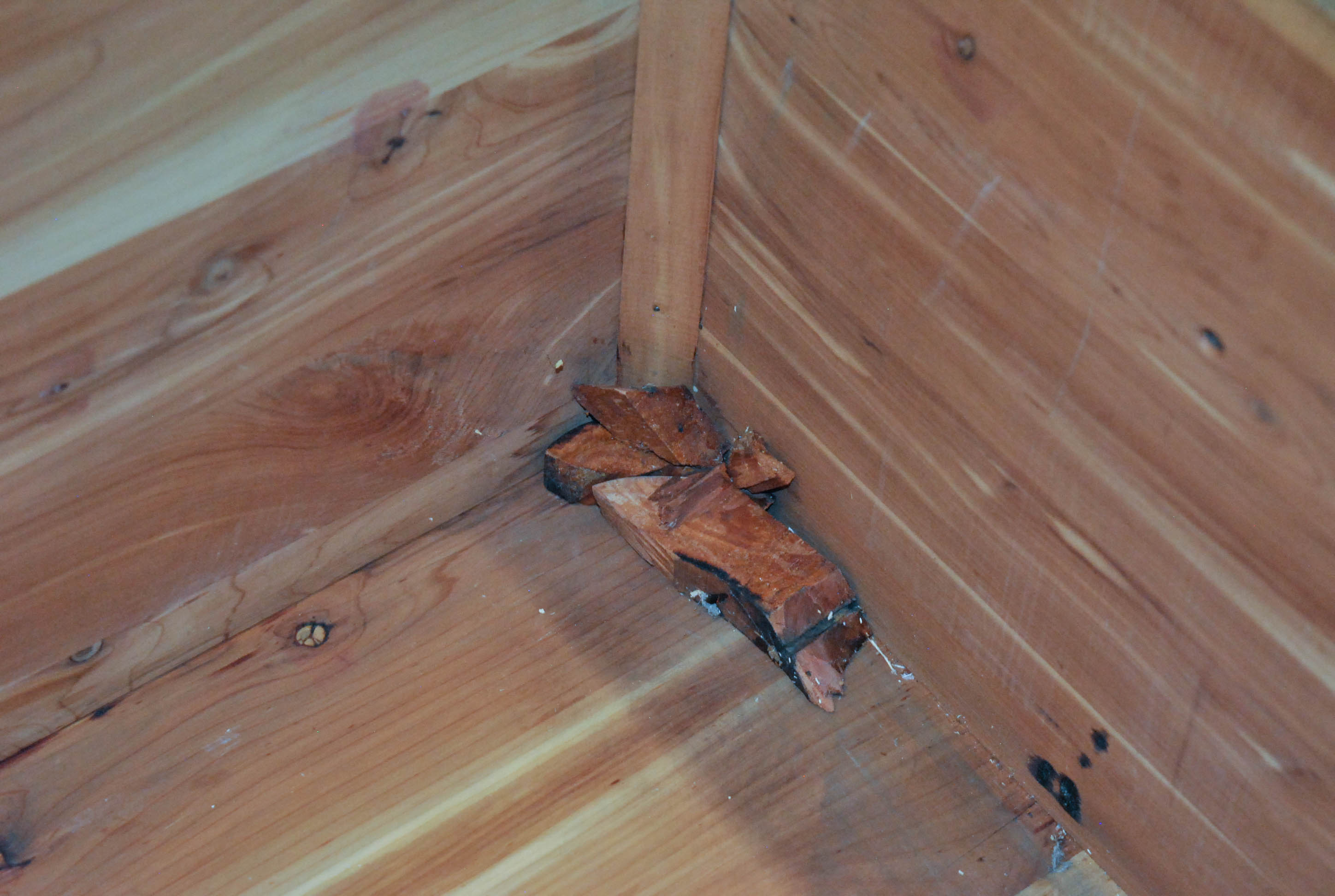 Vintage Cedar Chest by Caswell-Runyan