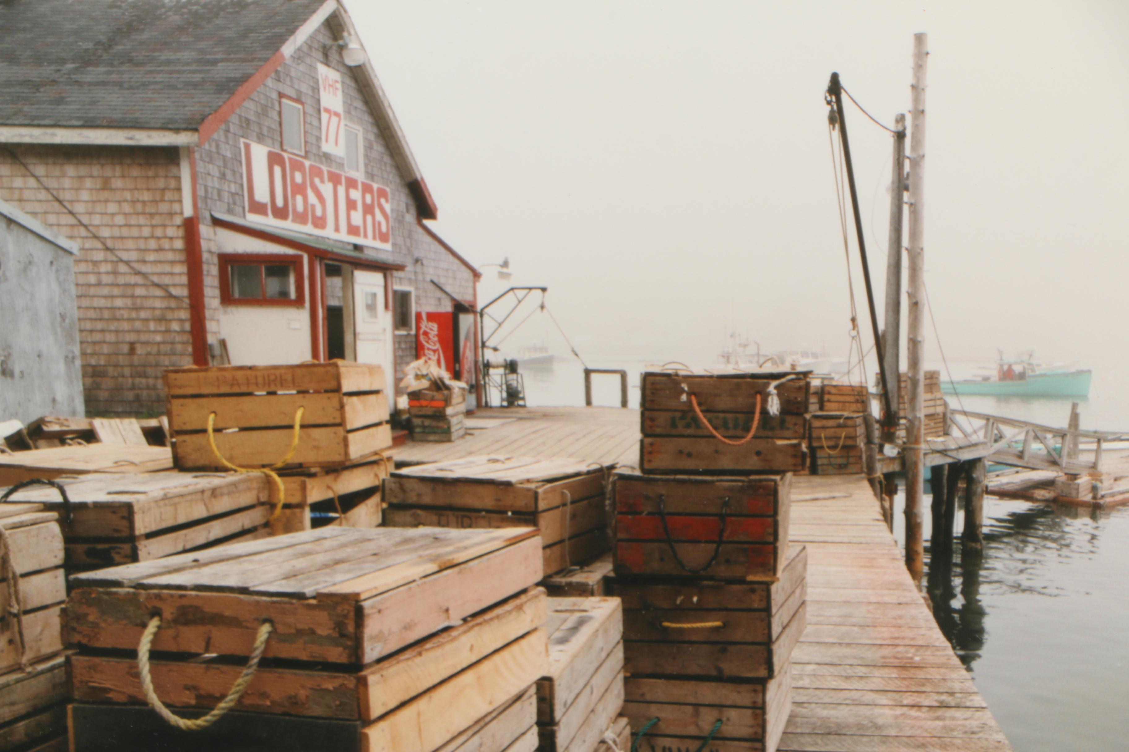 Terrell S. Lester Photograph "Dock in Fog"