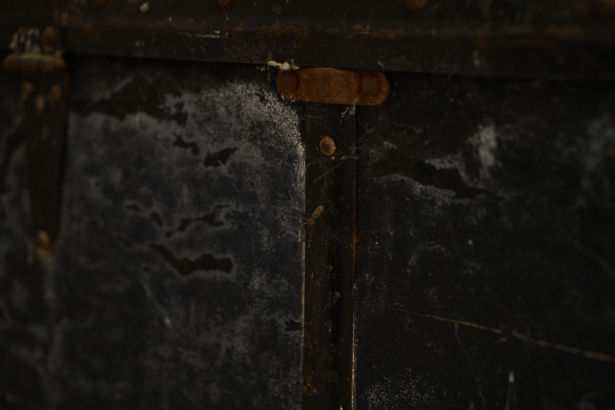 Vintage L. Bamberger & Co. "Neverbreak" Steamer Trunk