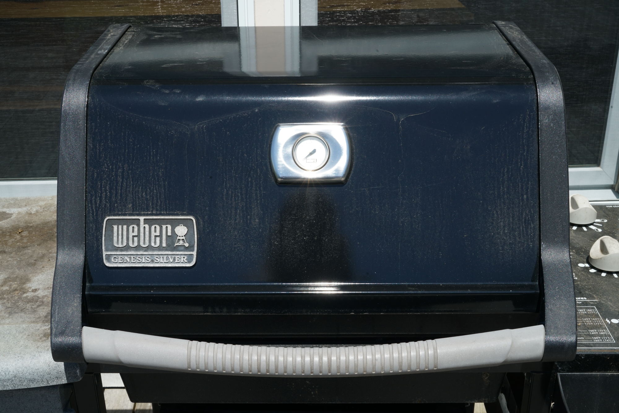 Weber "Genesis Silver" Gas Grill