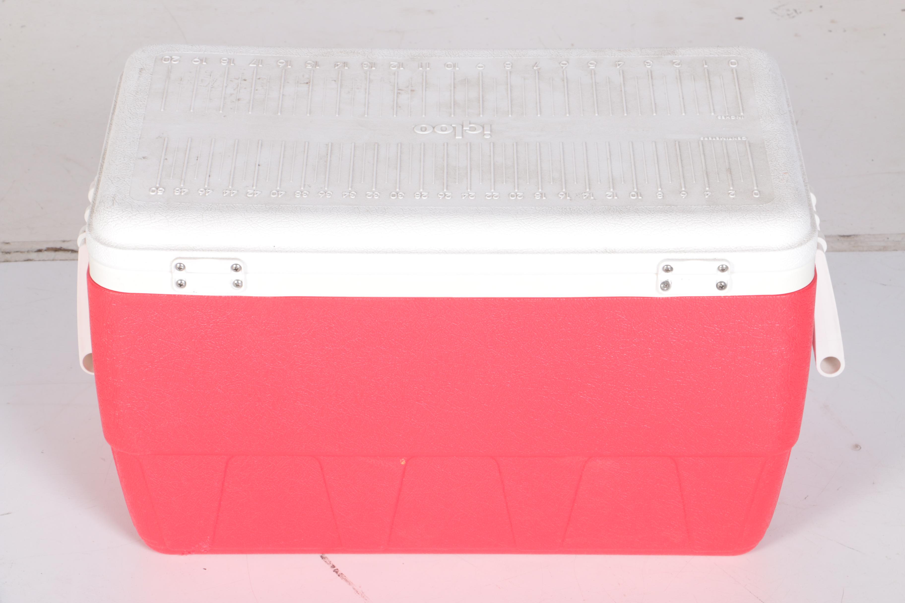 Igloo and Coleman Coolers and Other Picnic Accessories