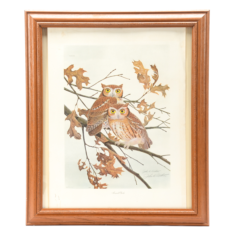 John A. Ruthven Limited Edition Offset Lithograph "Screech Owls"