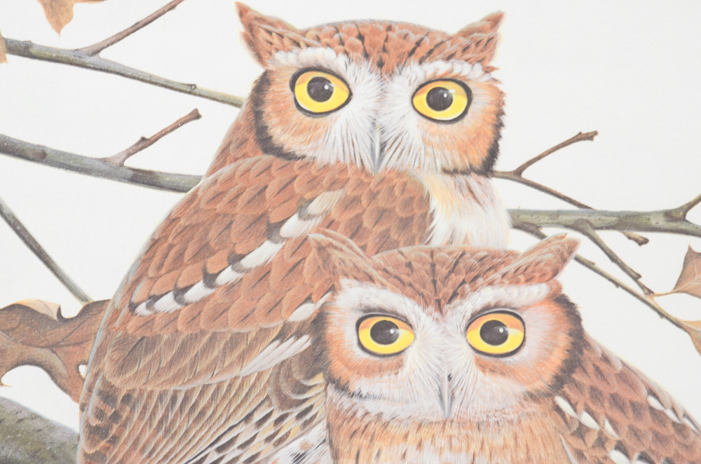John A. Ruthven Limited Edition Offset Lithograph "Screech Owls"