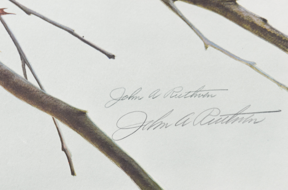 John A. Ruthven Limited Edition Offset Lithograph "Screech Owls"