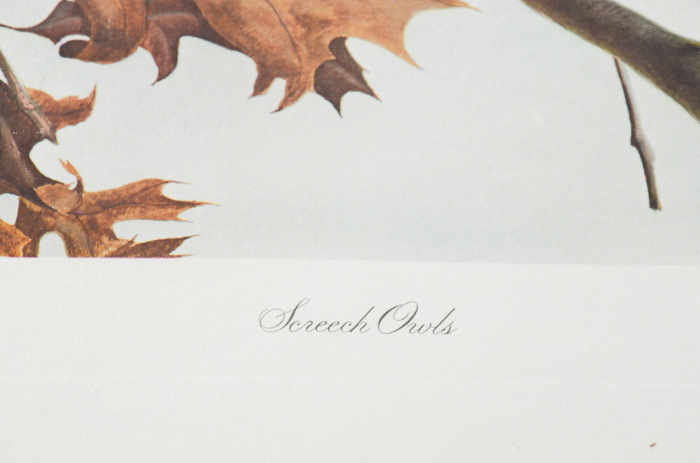 John A. Ruthven Limited Edition Offset Lithograph "Screech Owls"