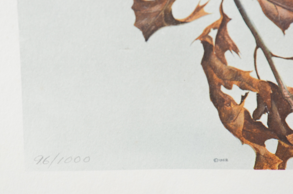 John A. Ruthven Limited Edition Offset Lithograph "Screech Owls"