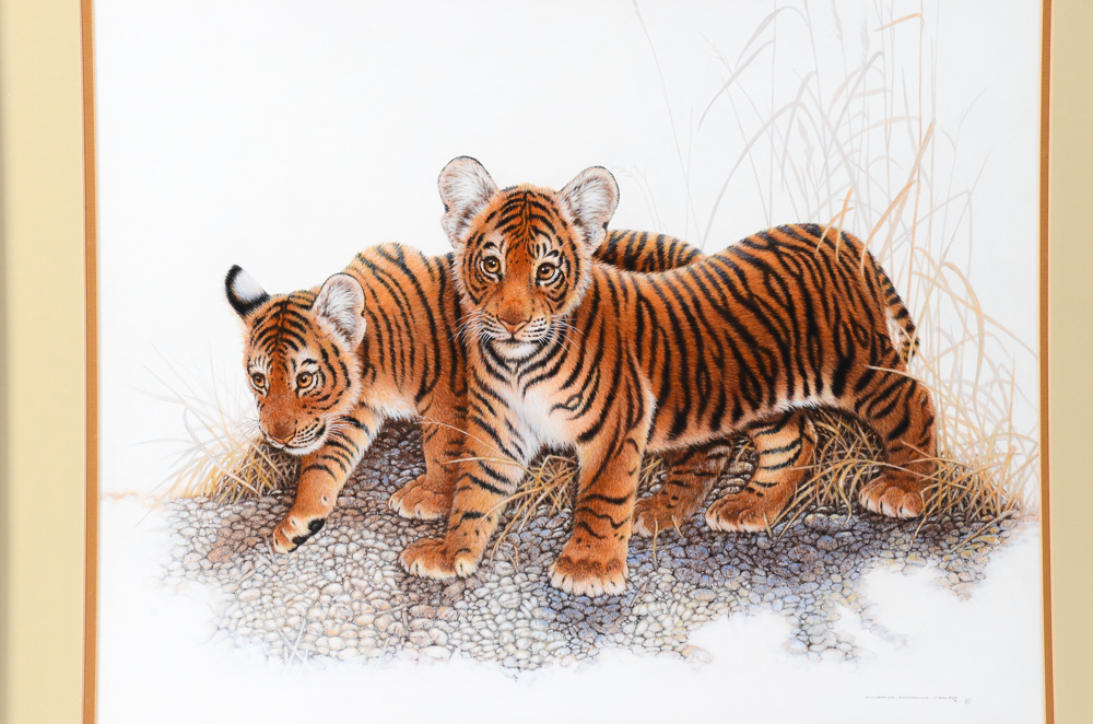 Jim Oliver Original Watercolor Painting of Tiger Cubs