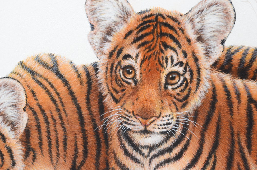 Jim Oliver Original Watercolor Painting of Tiger Cubs