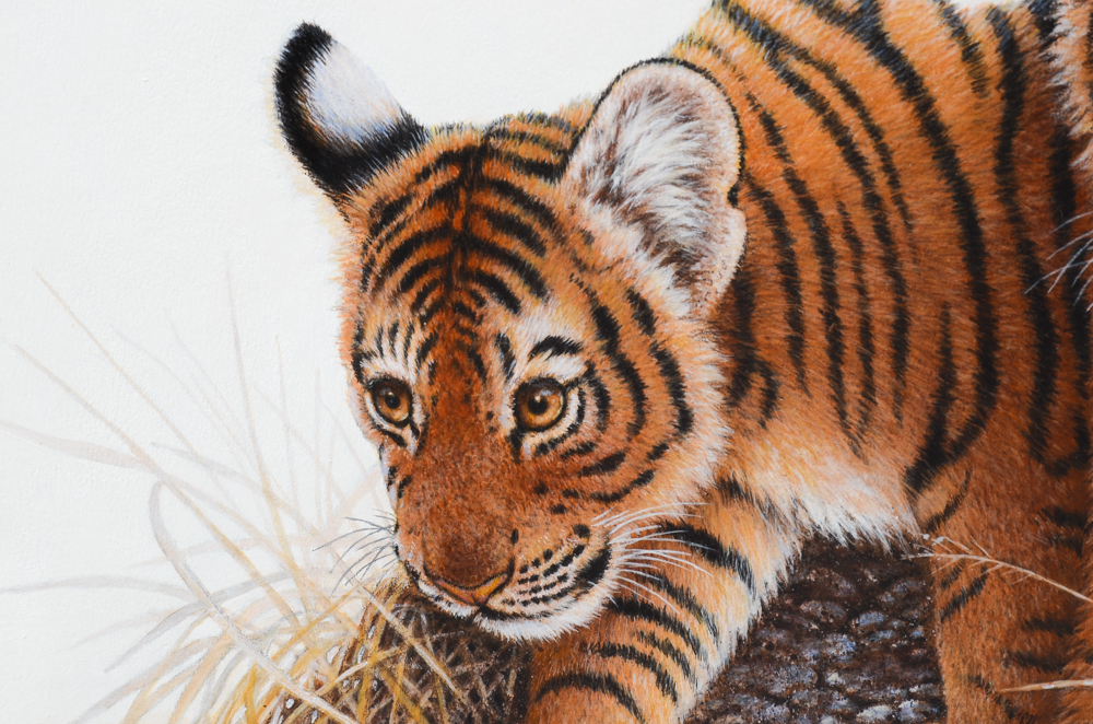 Jim Oliver Original Watercolor Painting of Tiger Cubs
