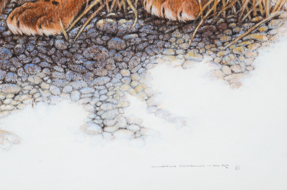 Jim Oliver Original Watercolor Painting of Tiger Cubs