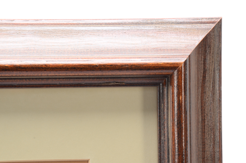 Jim Oliver Original Watercolor Painting of Tiger Cubs