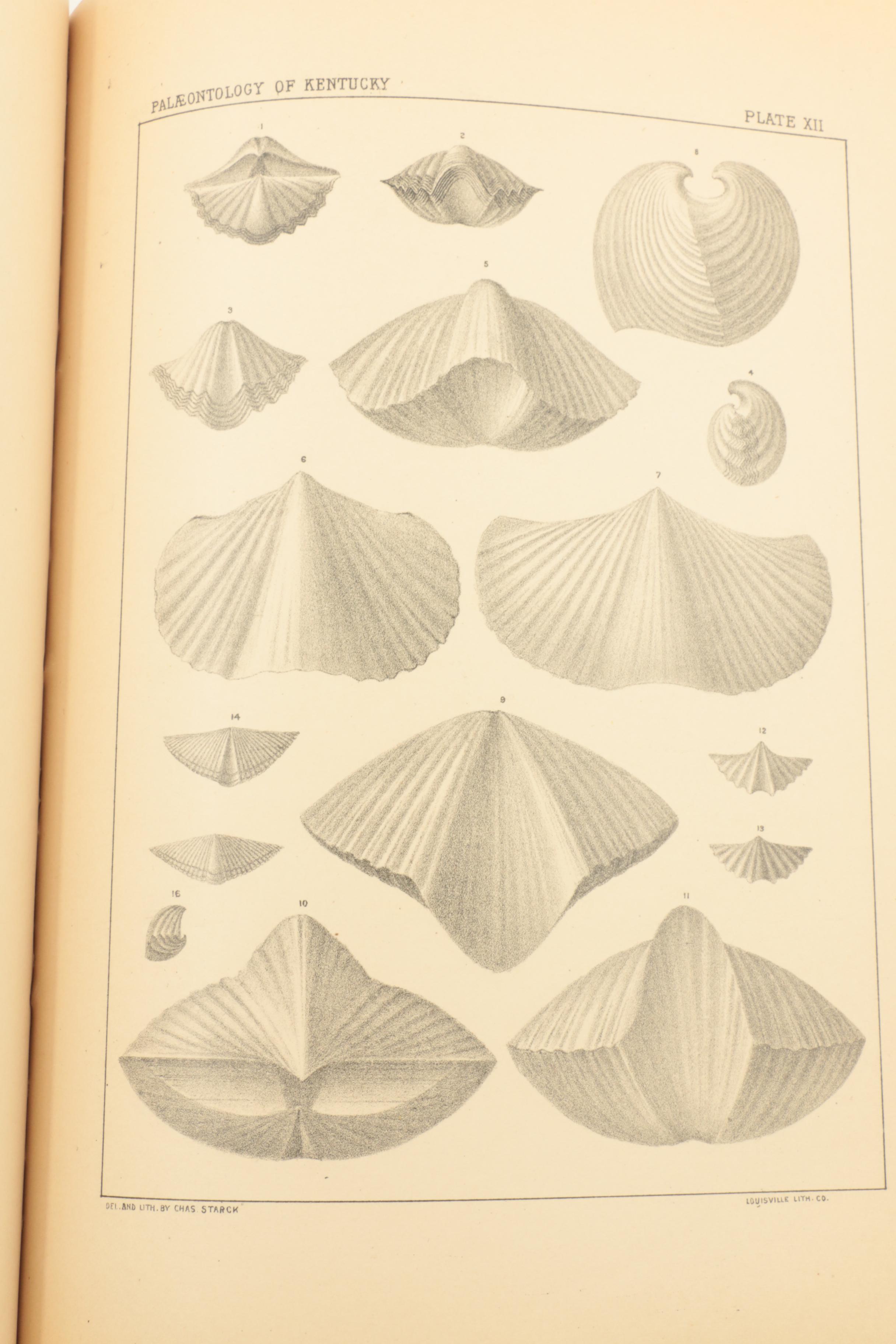 1889 "Kentucky Fossil Shells" and 1910 "The Prehistoric Men of Kentucky"
