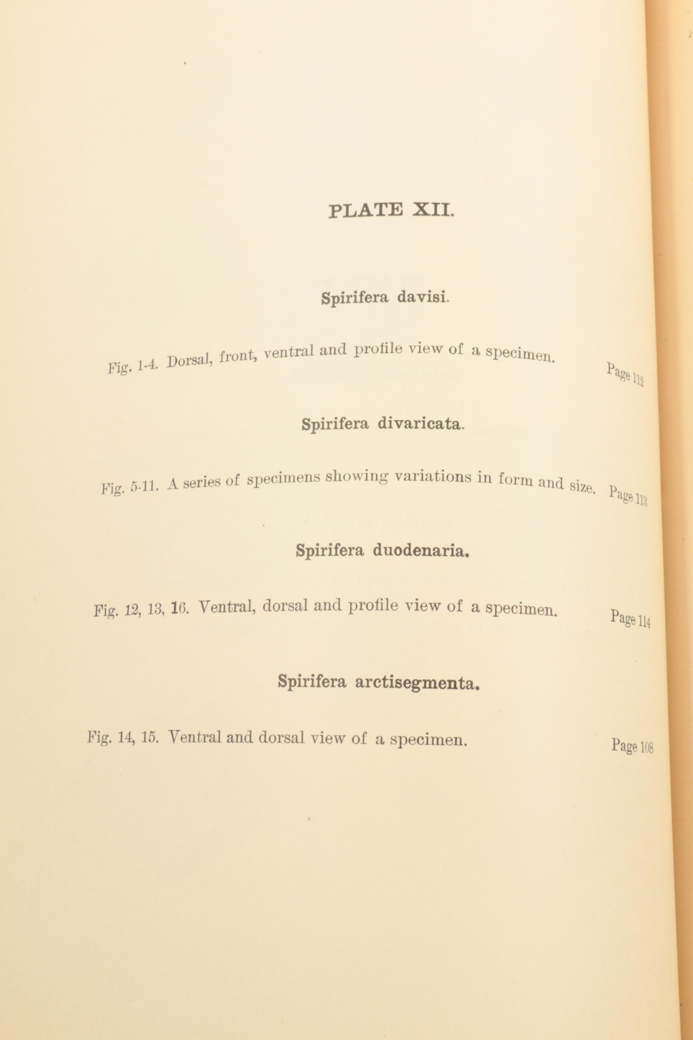 1889 "Kentucky Fossil Shells" and 1910 "The Prehistoric Men of Kentucky"