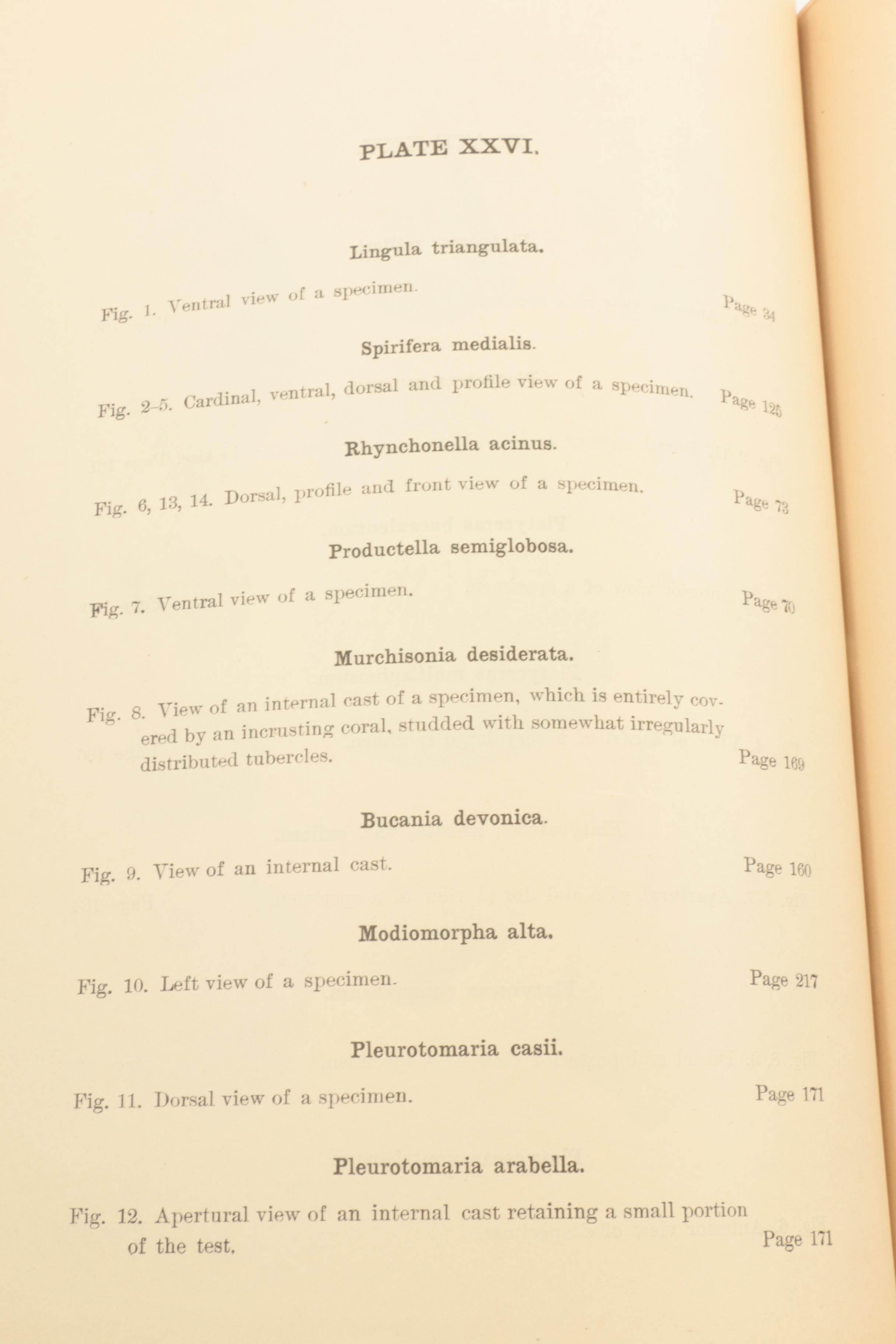 1889 "Kentucky Fossil Shells" and 1910 "The Prehistoric Men of Kentucky"