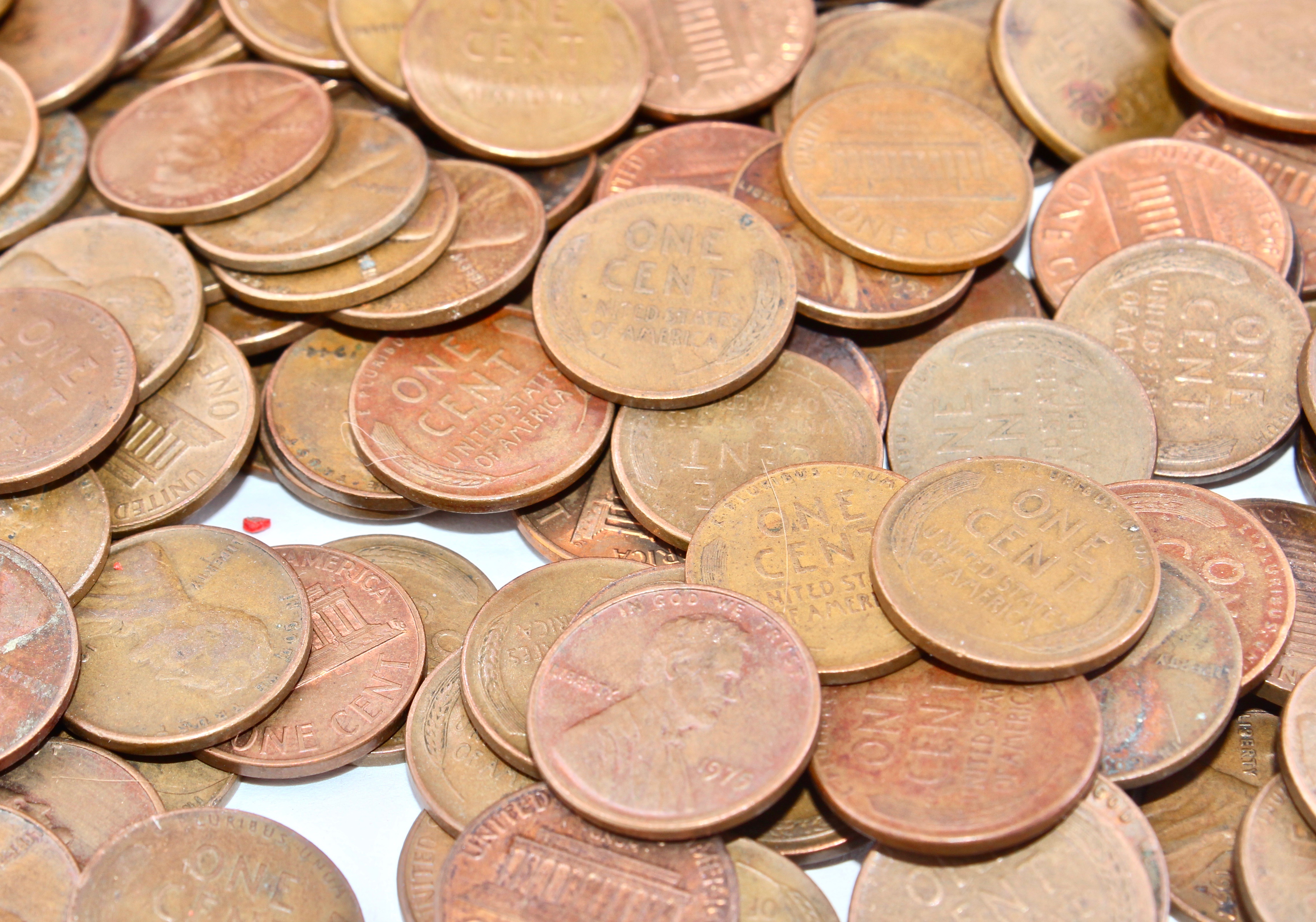 A Large Collection of Wheat and Contemporary Pennies