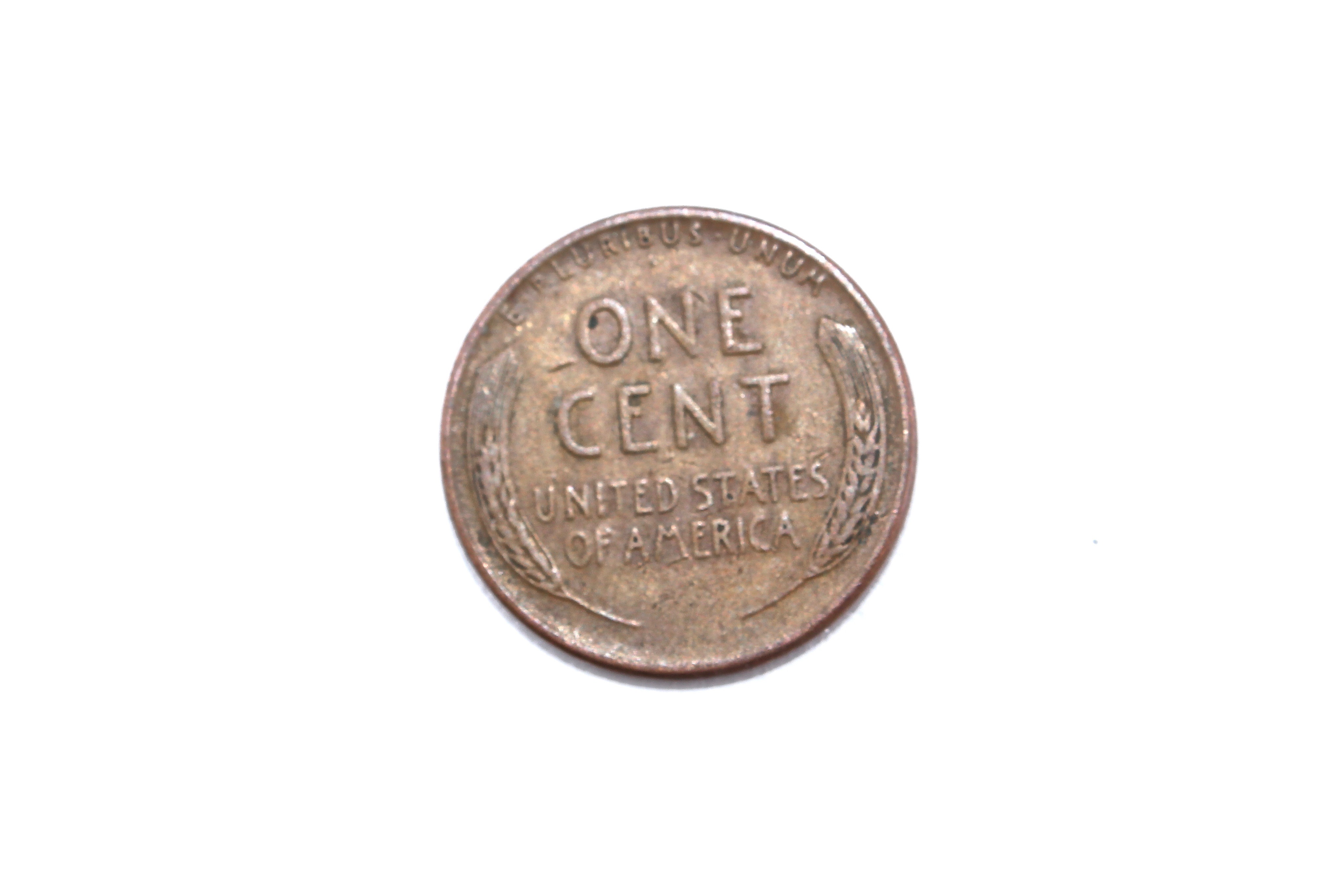 A Large Collection of Wheat and Contemporary Pennies