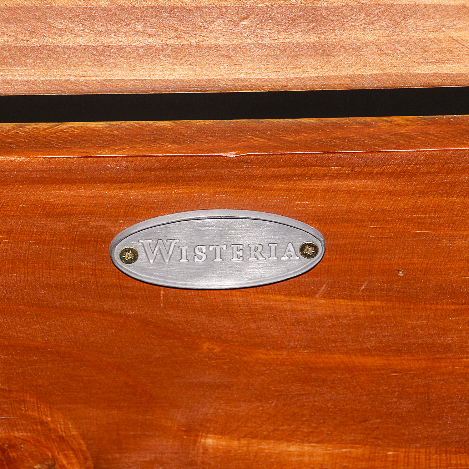 Vintage Painted Trunk by Wisteria