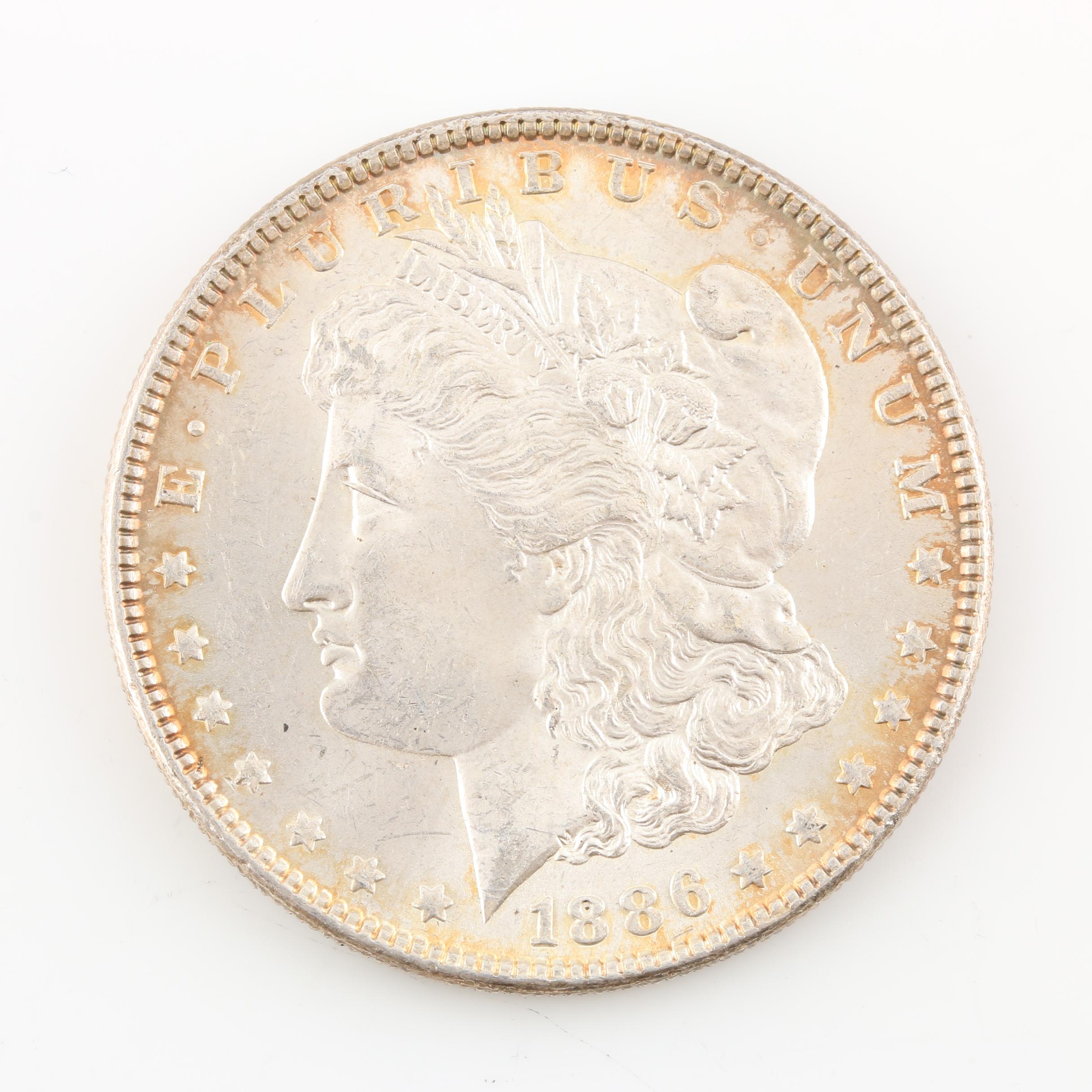 Morgan Silver Dollar and a Peace Silver Dollar
