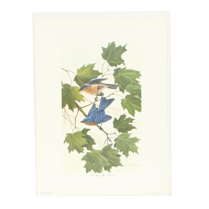 John Ruthven Signed Limited Edition Offset Lithograph "New York State Bluebird"