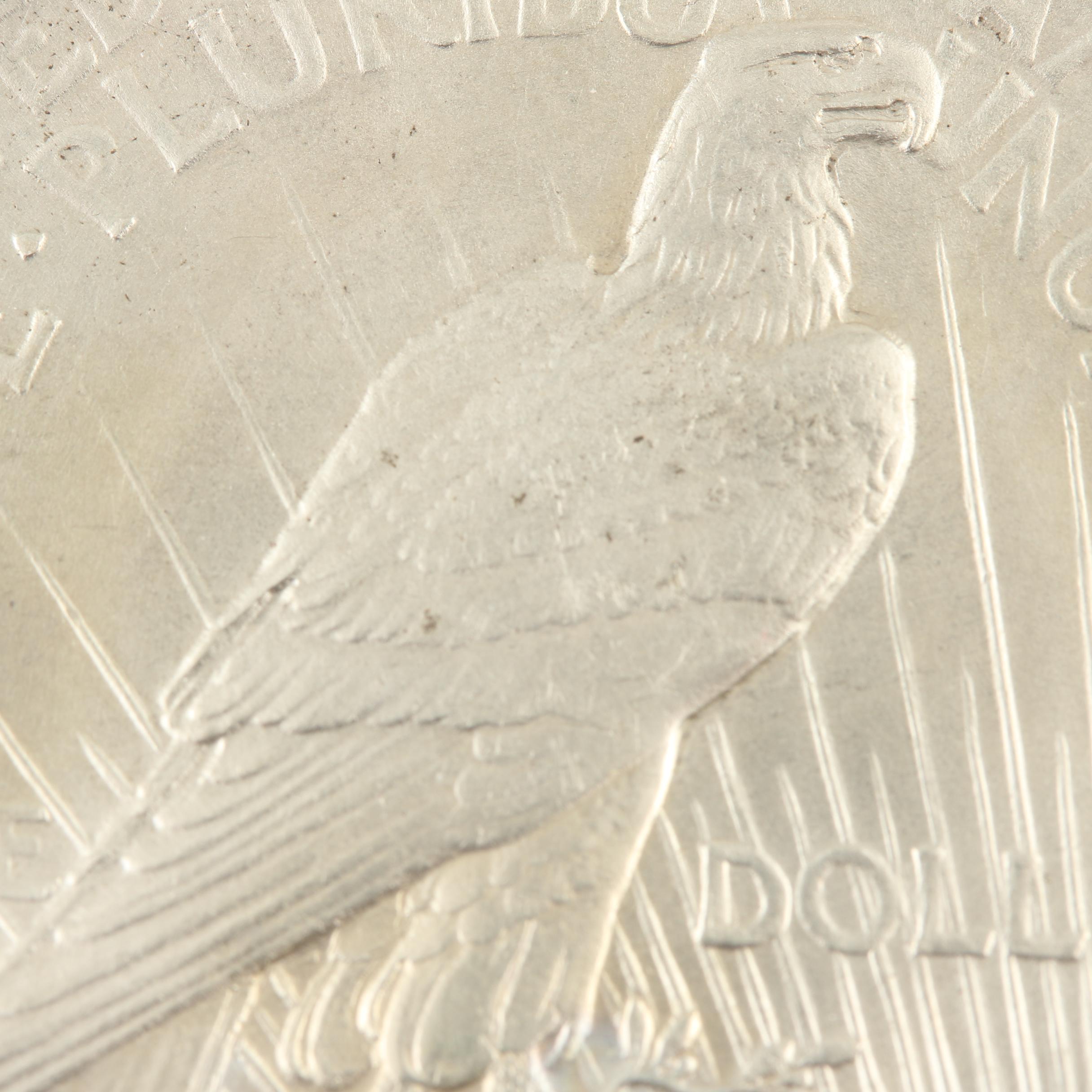 Key Date 1921 Silver Peace Dollar