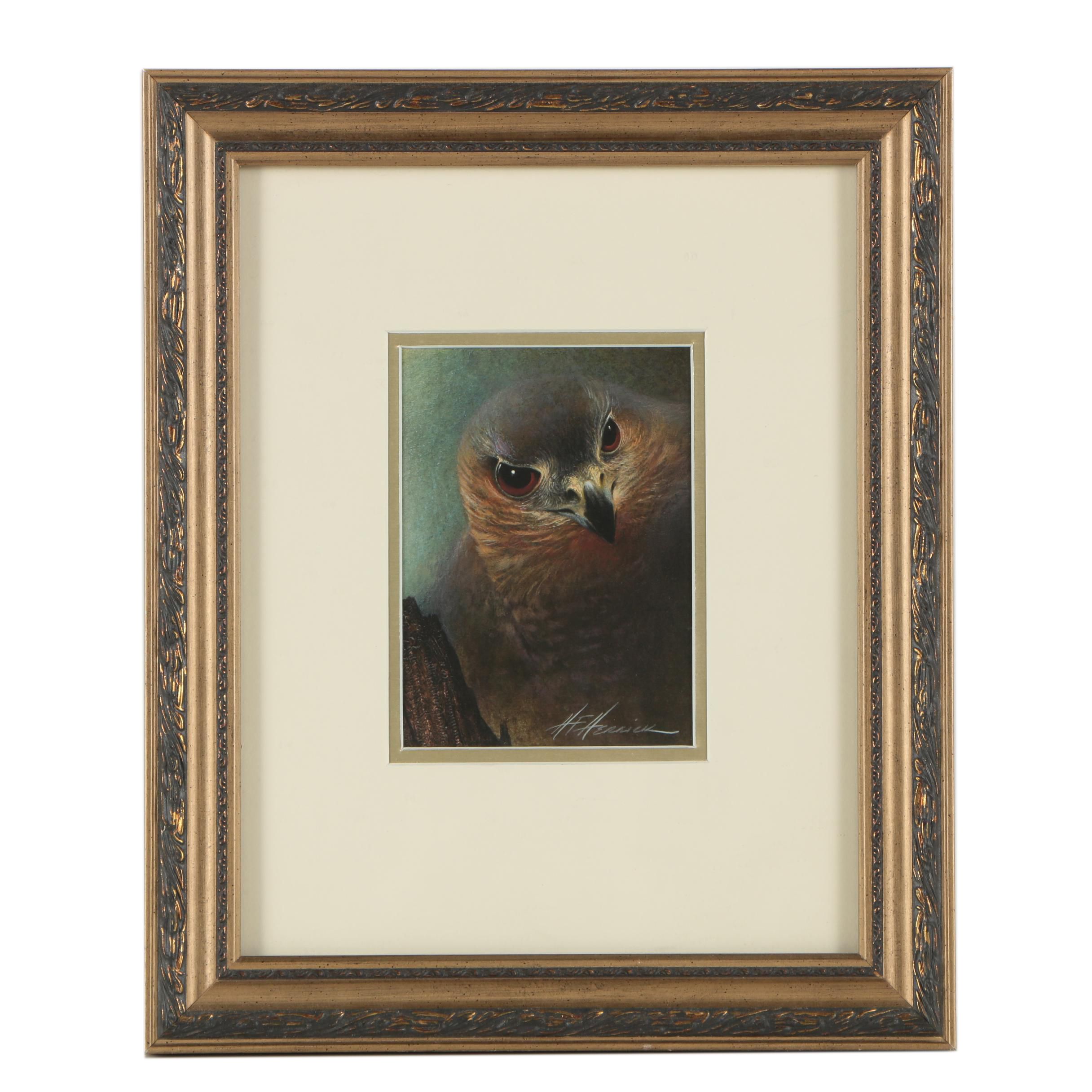 H.F. Herrick Contemporary Giclée of Hawk Portrait