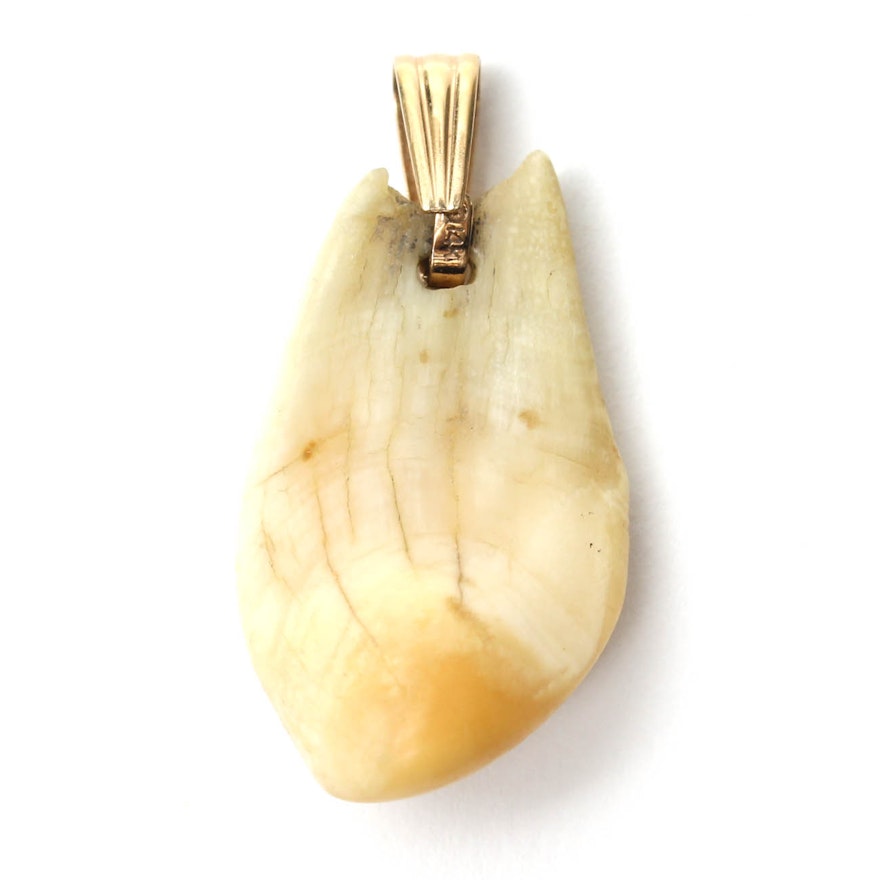 14K Yellow Gold Elk Tooth Pendant