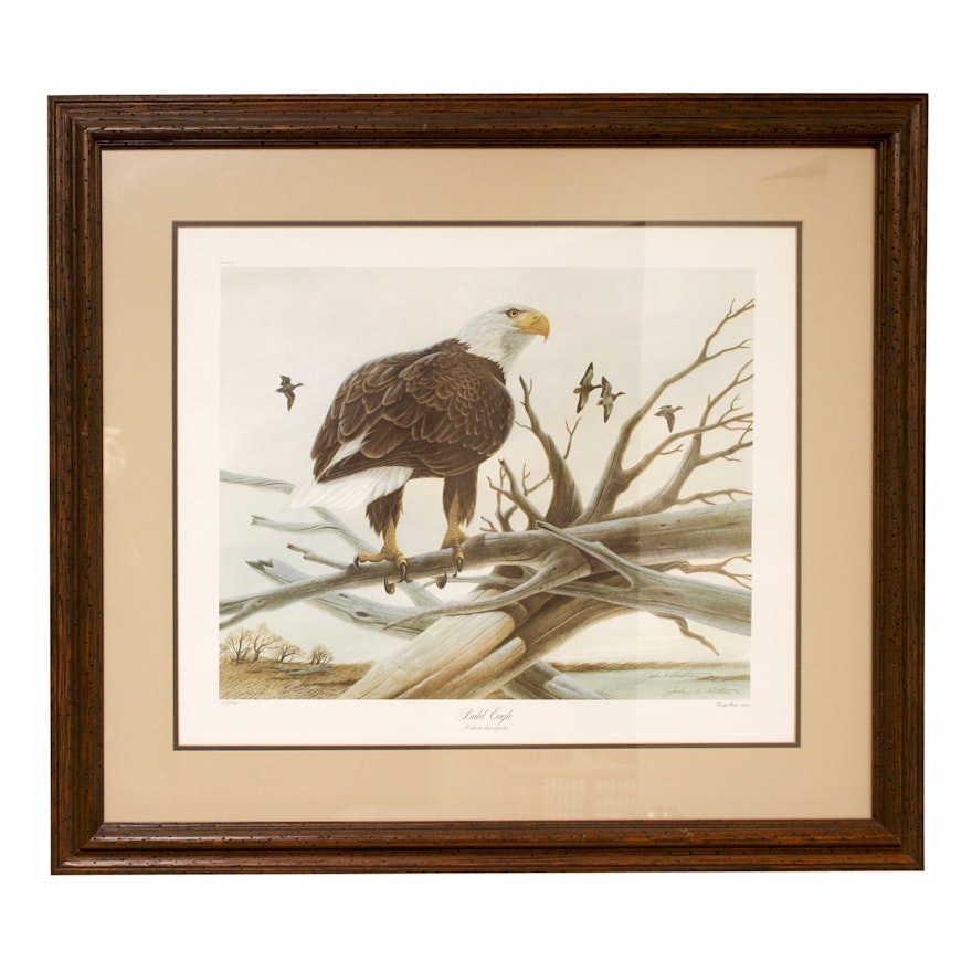 John Ruthven Signed Limited Edition Offset Lithograph "Bald Eagle"