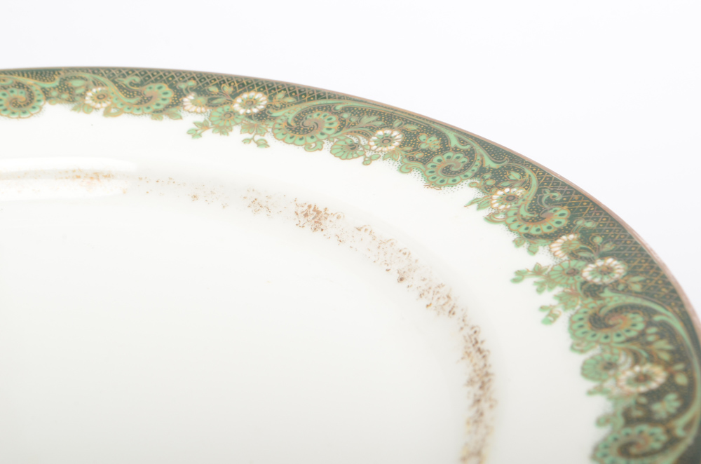 Vintage J. Pouyatt Limoges Porcelain Dinner Plates