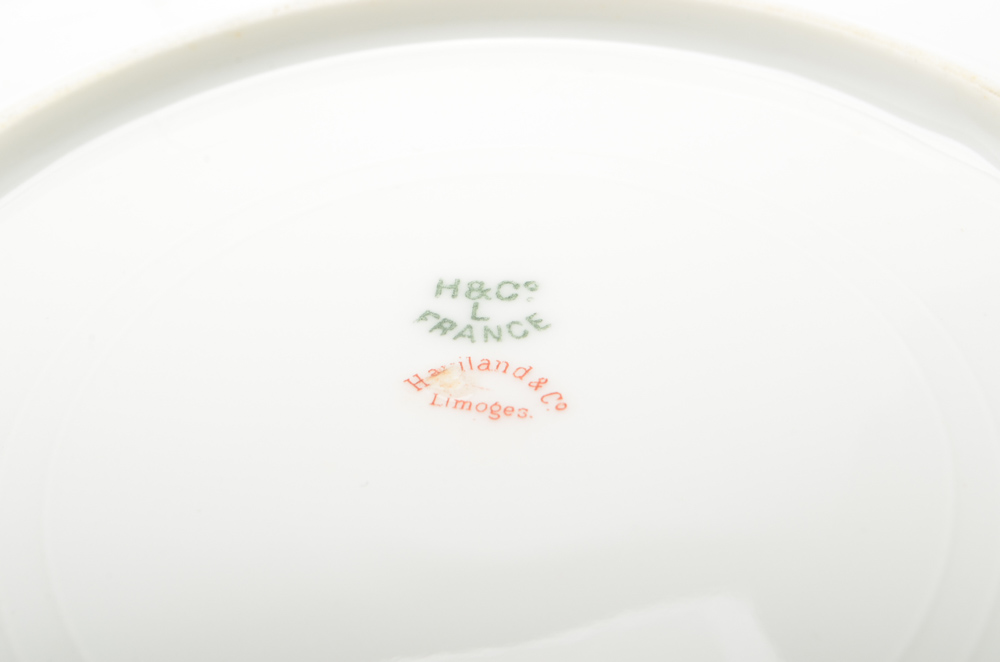 Vintage Haviland Limoges Porcelain Plates