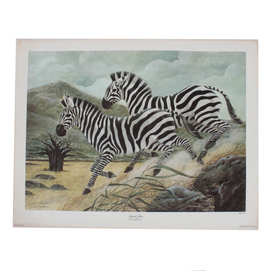 John Ruthven Limited Edition Offset Lithograph "Grants Zebra"