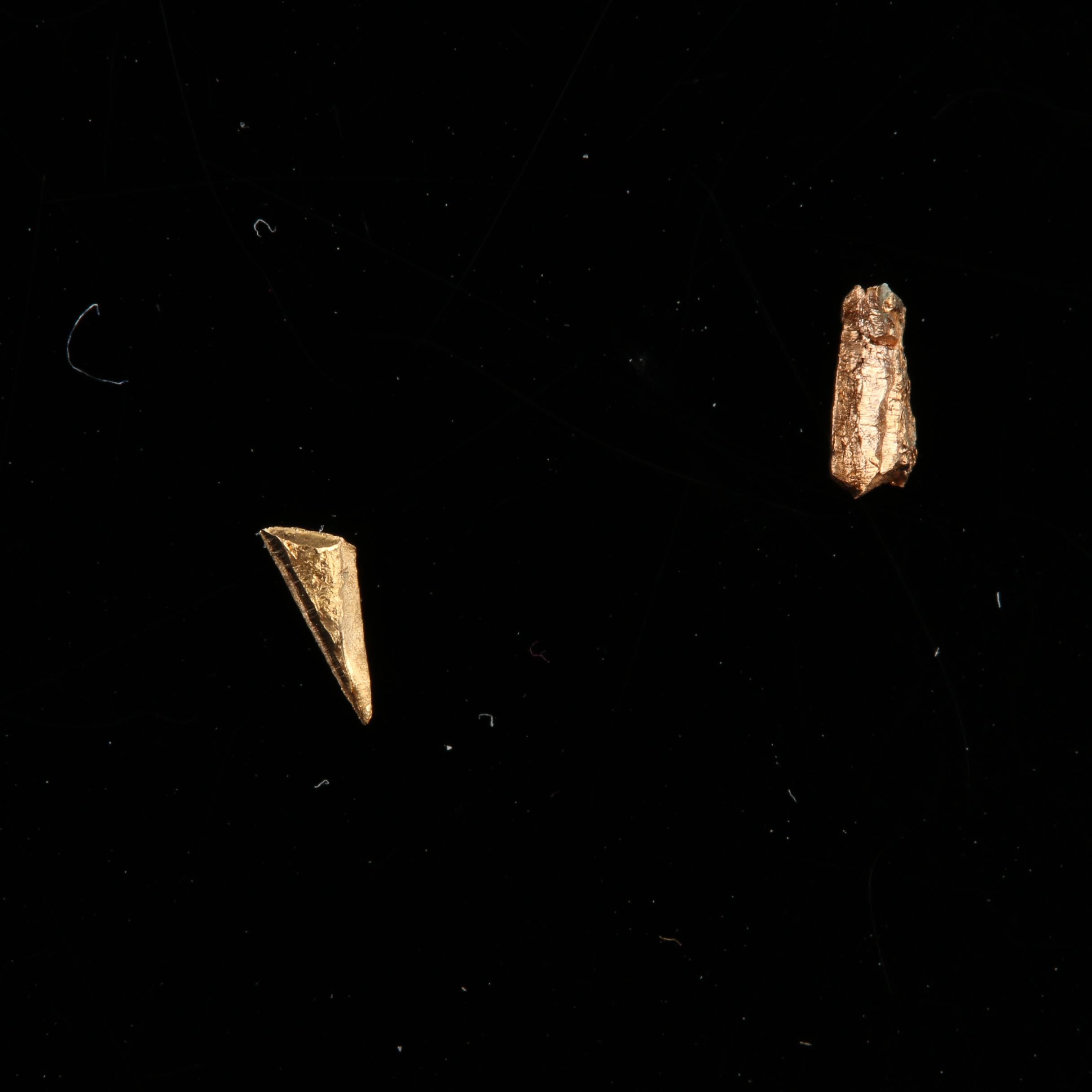Two Gold Nugget Flakes from Spanish Shipwreck