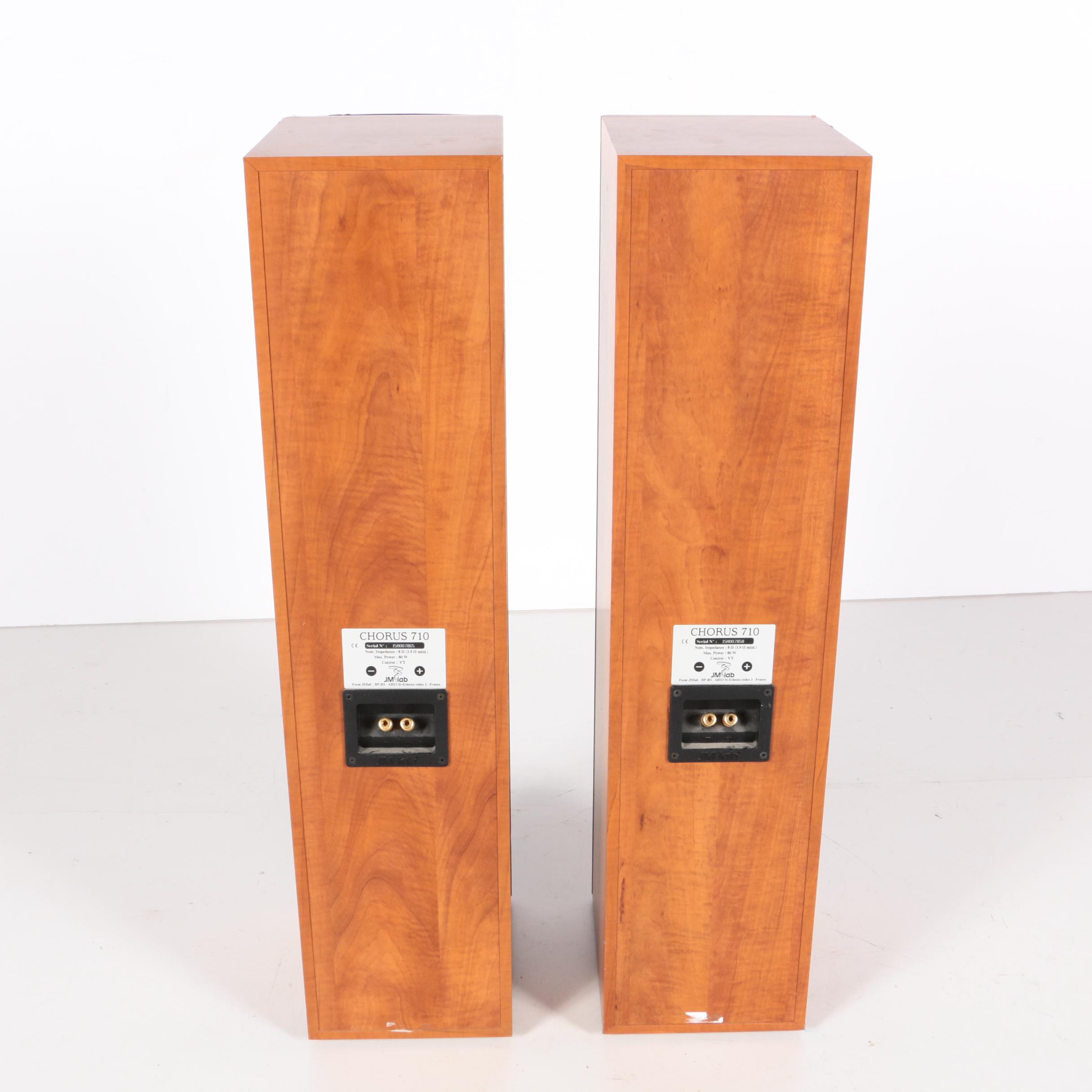 JM Lab Floorstanding Speakers