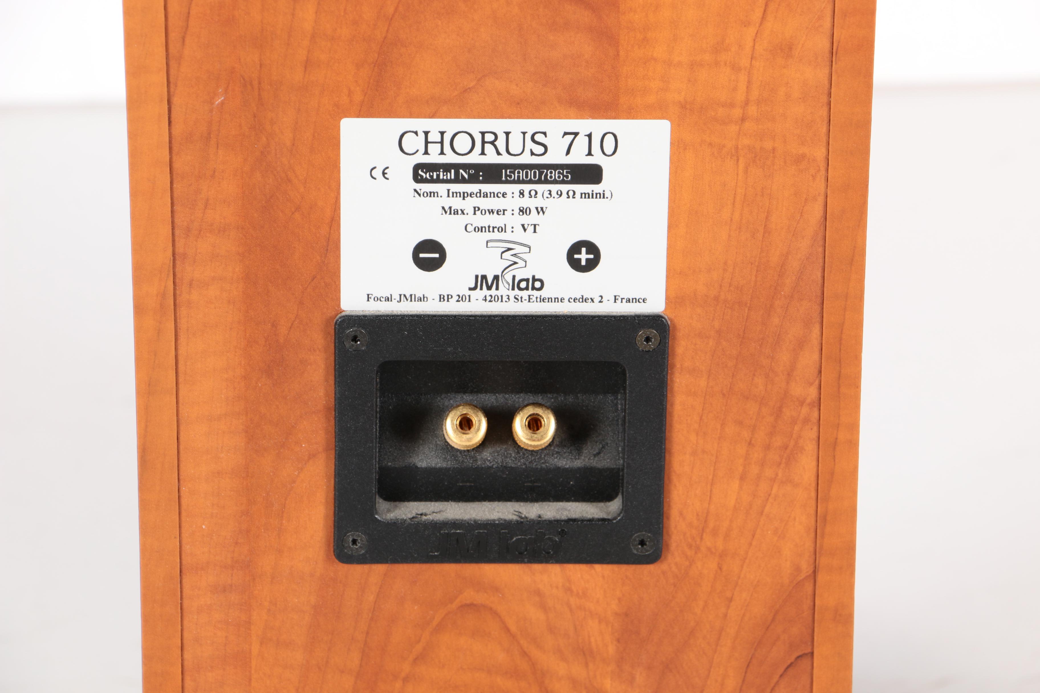 JM Lab Floorstanding Speakers