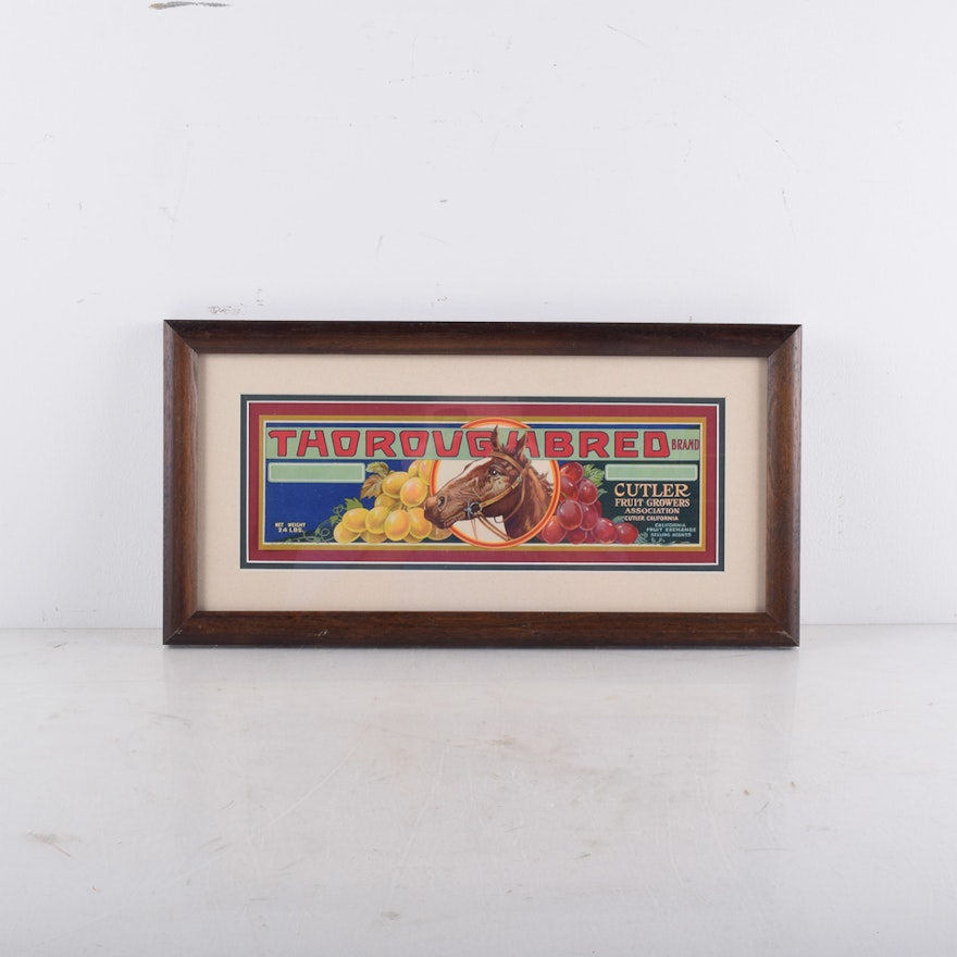 Vintage Original "Thoroughbred" Fruit Crate Label