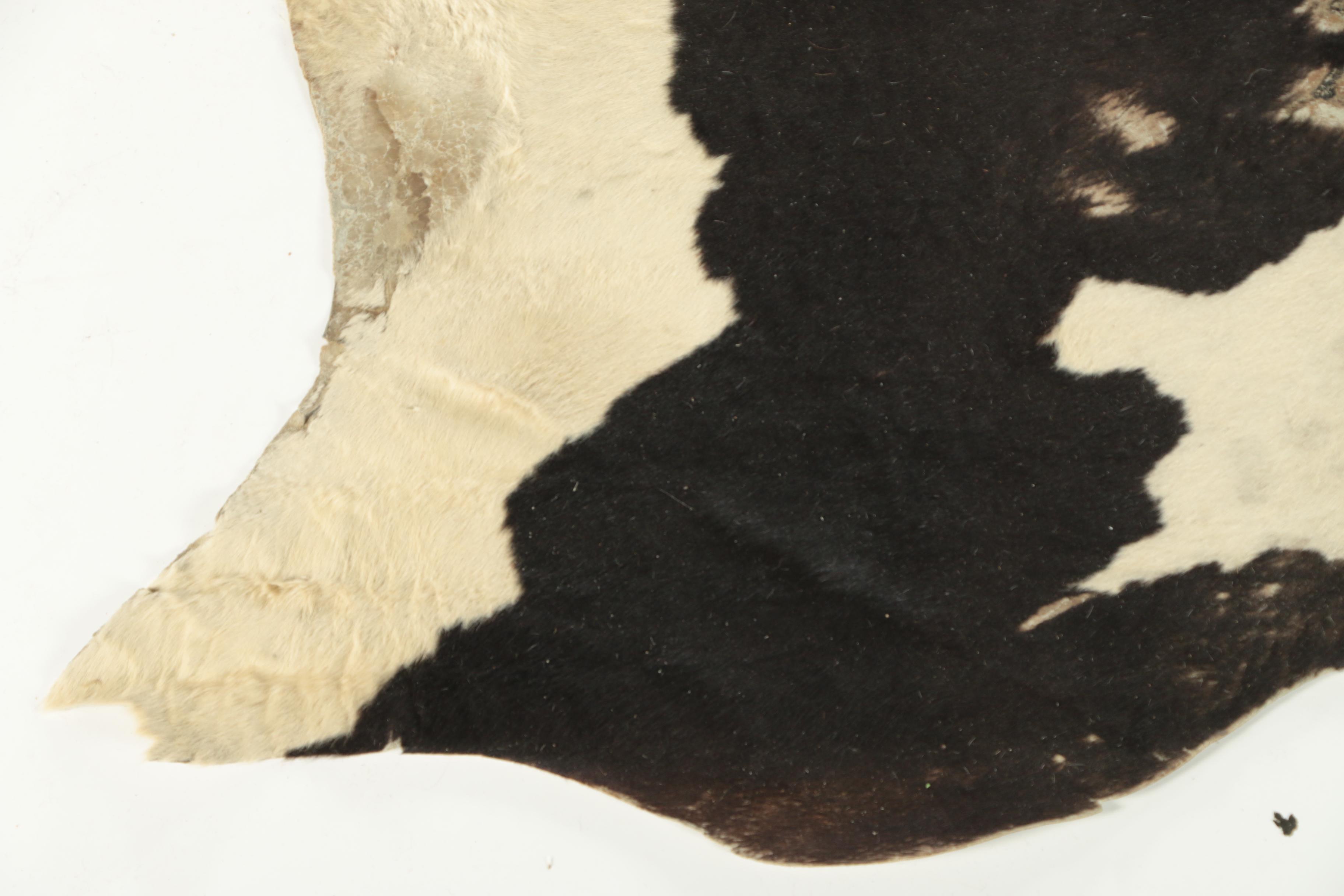 Vintage Brazilian Cowhide Area Rug