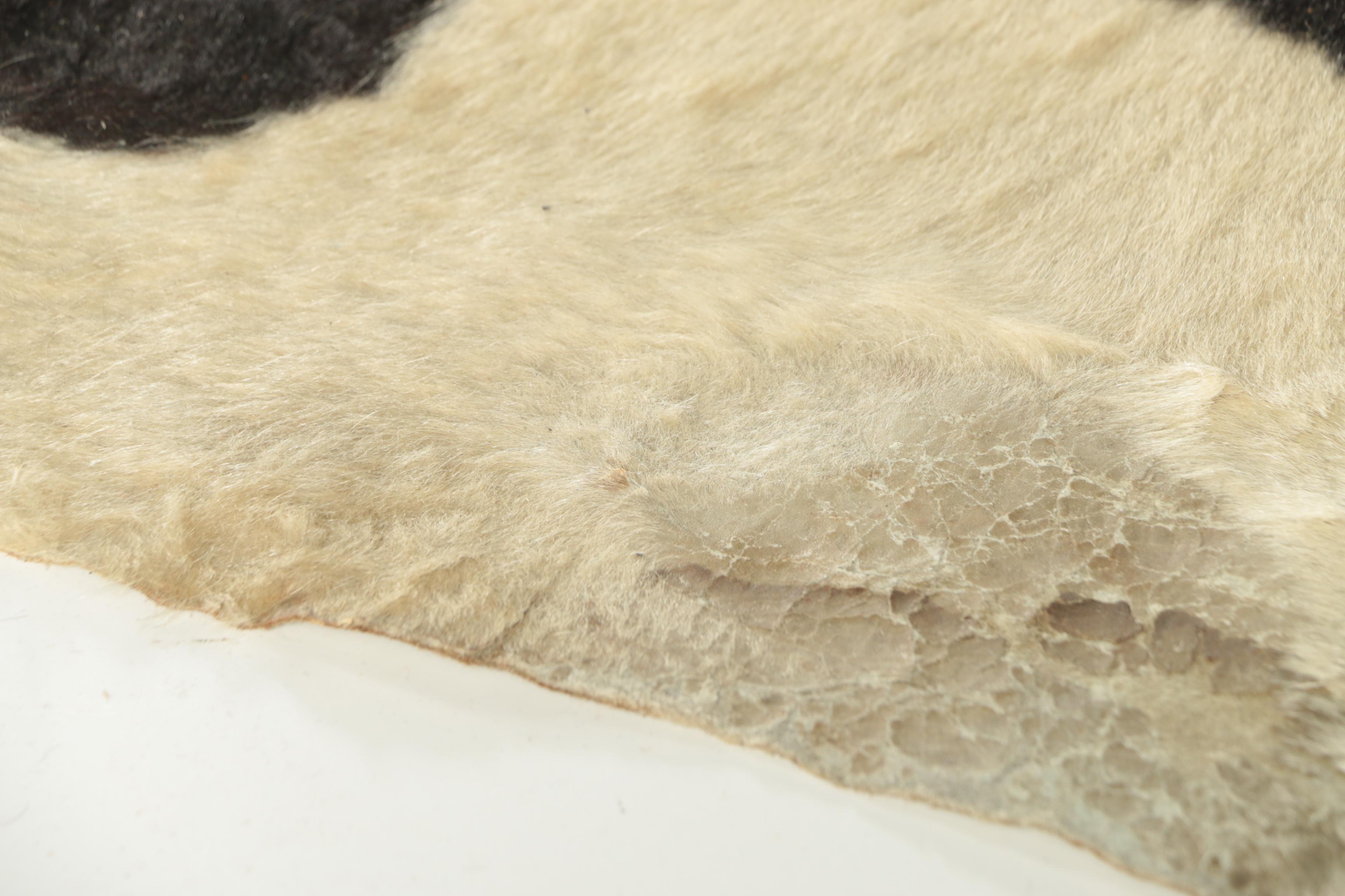 Vintage Brazilian Cowhide Area Rug