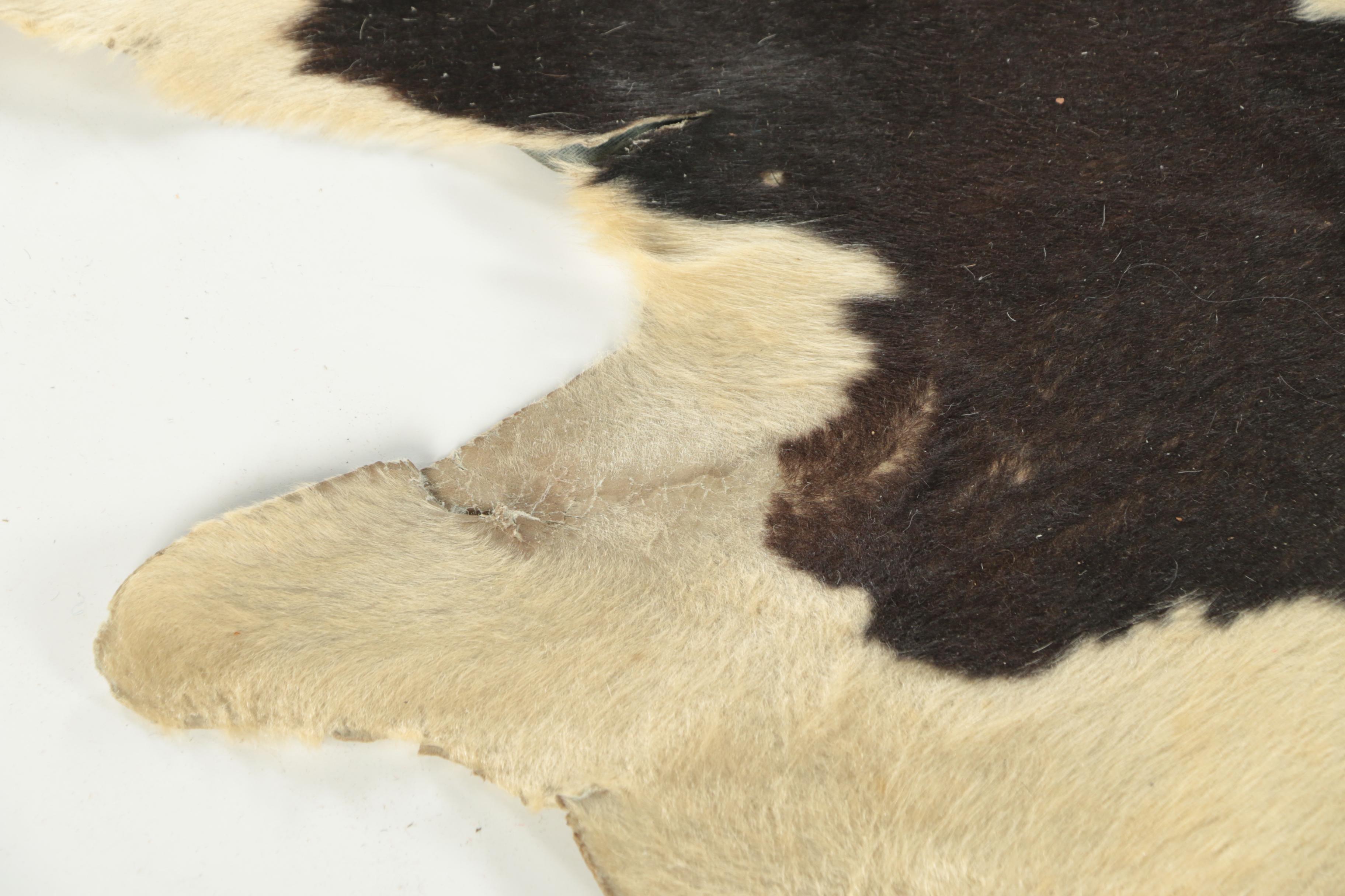 Vintage Brazilian Cowhide Area Rug