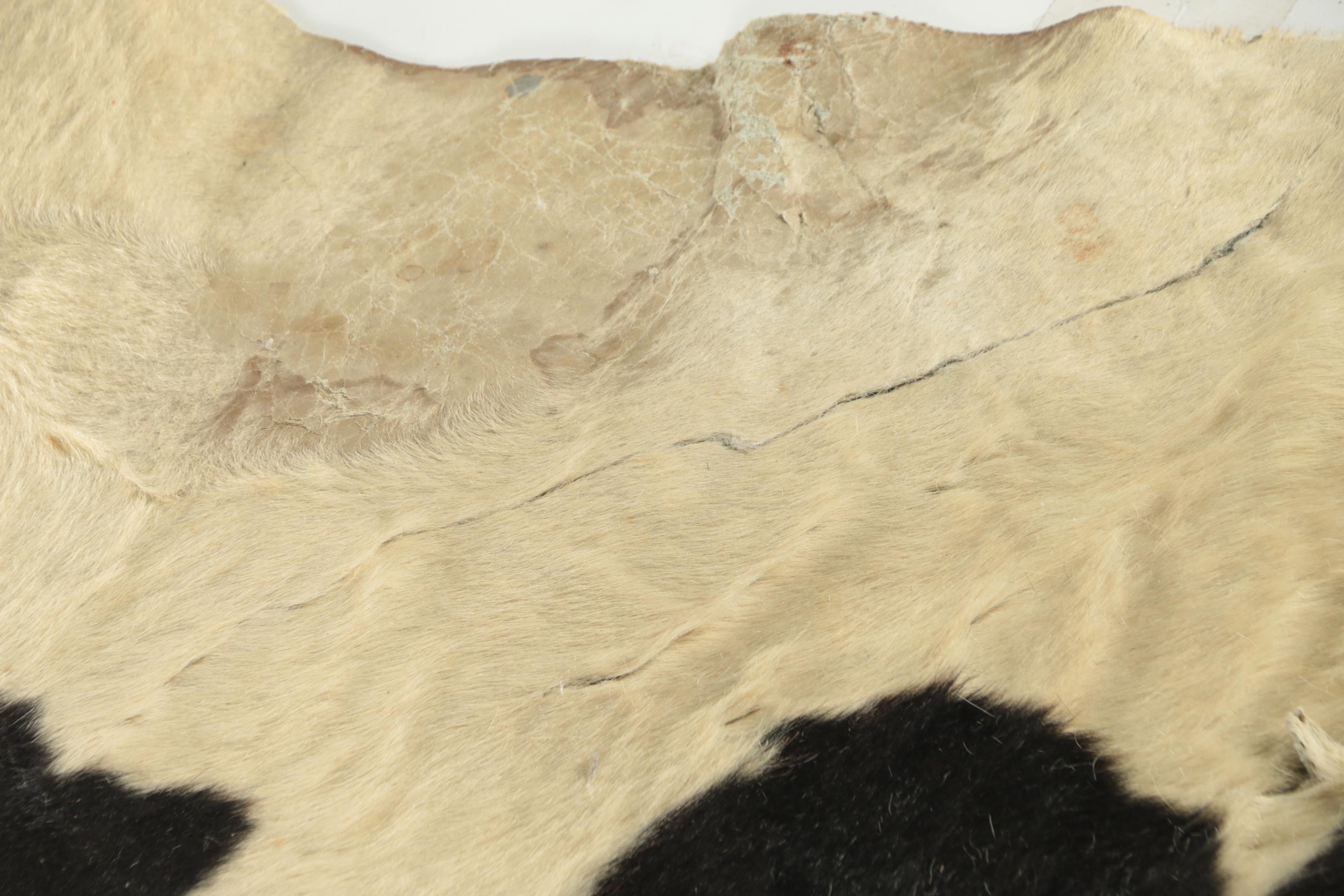 Vintage Brazilian Cowhide Area Rug