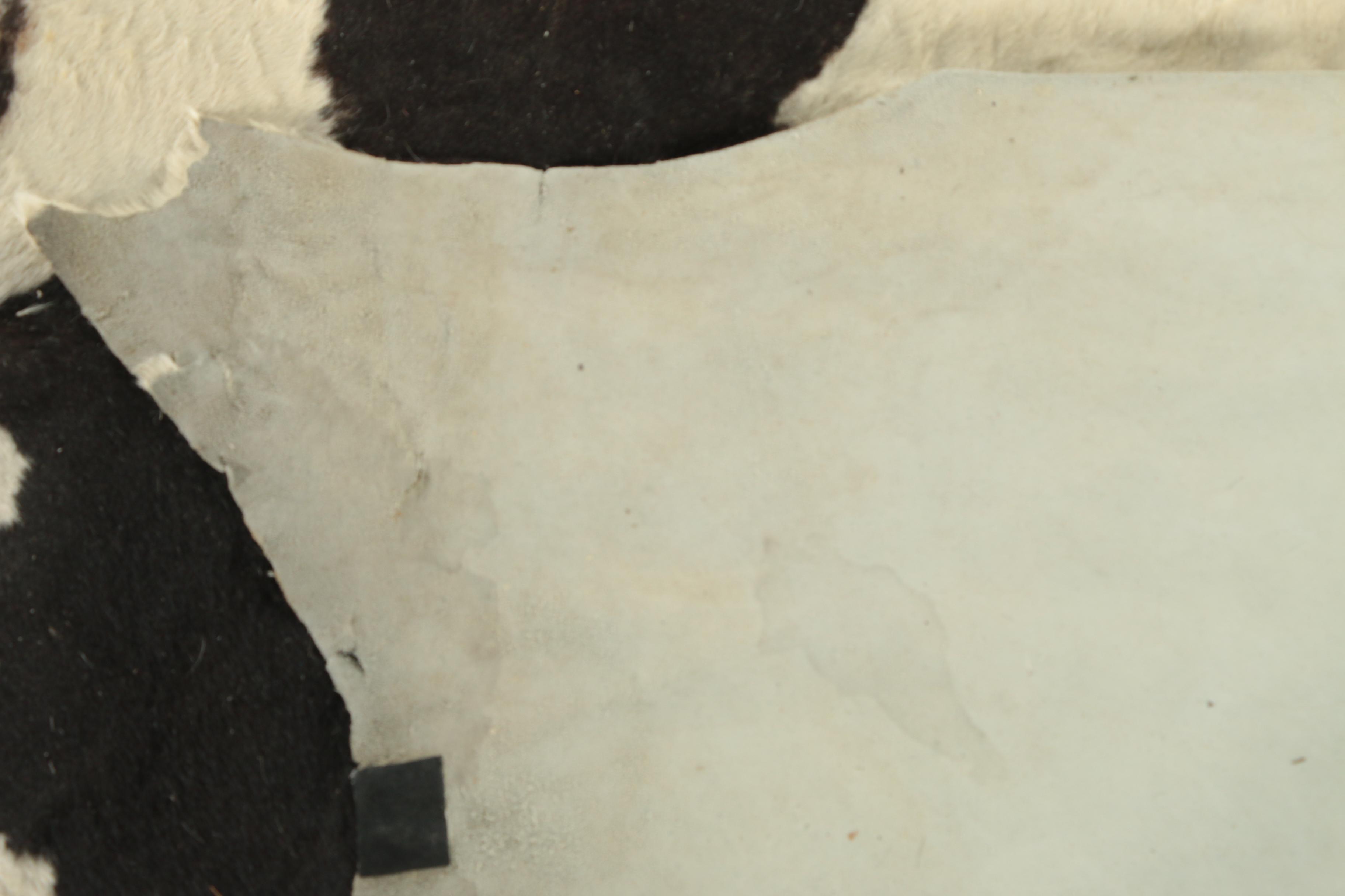 Vintage Brazilian Cowhide Area Rug