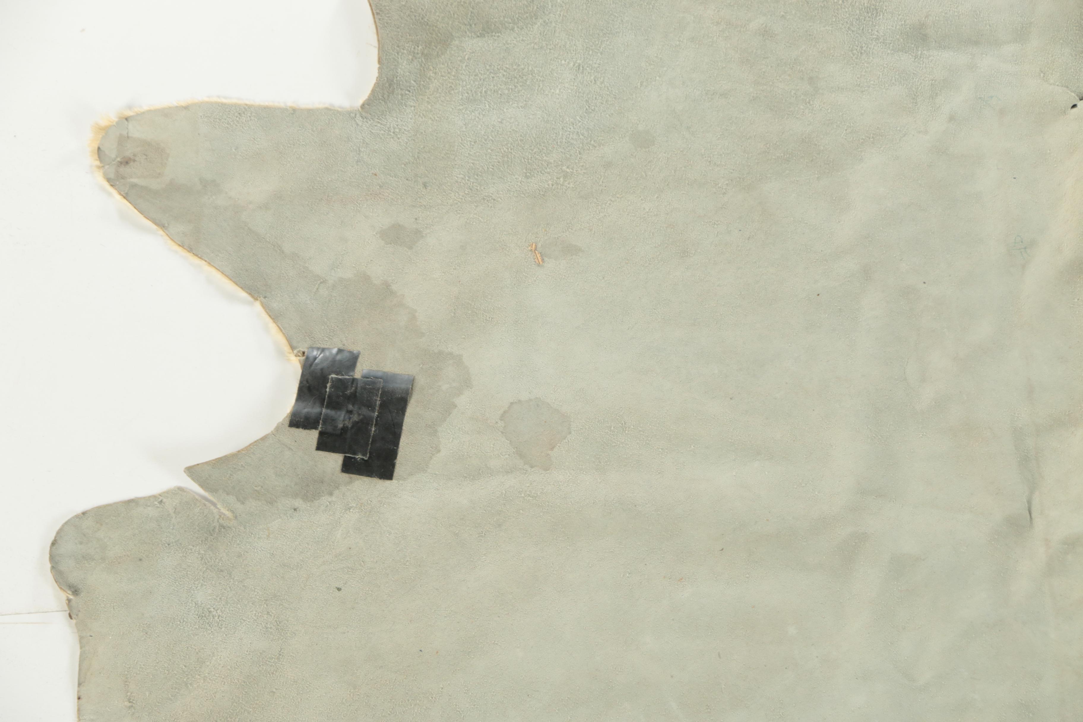 Vintage Brazilian Cowhide Area Rug