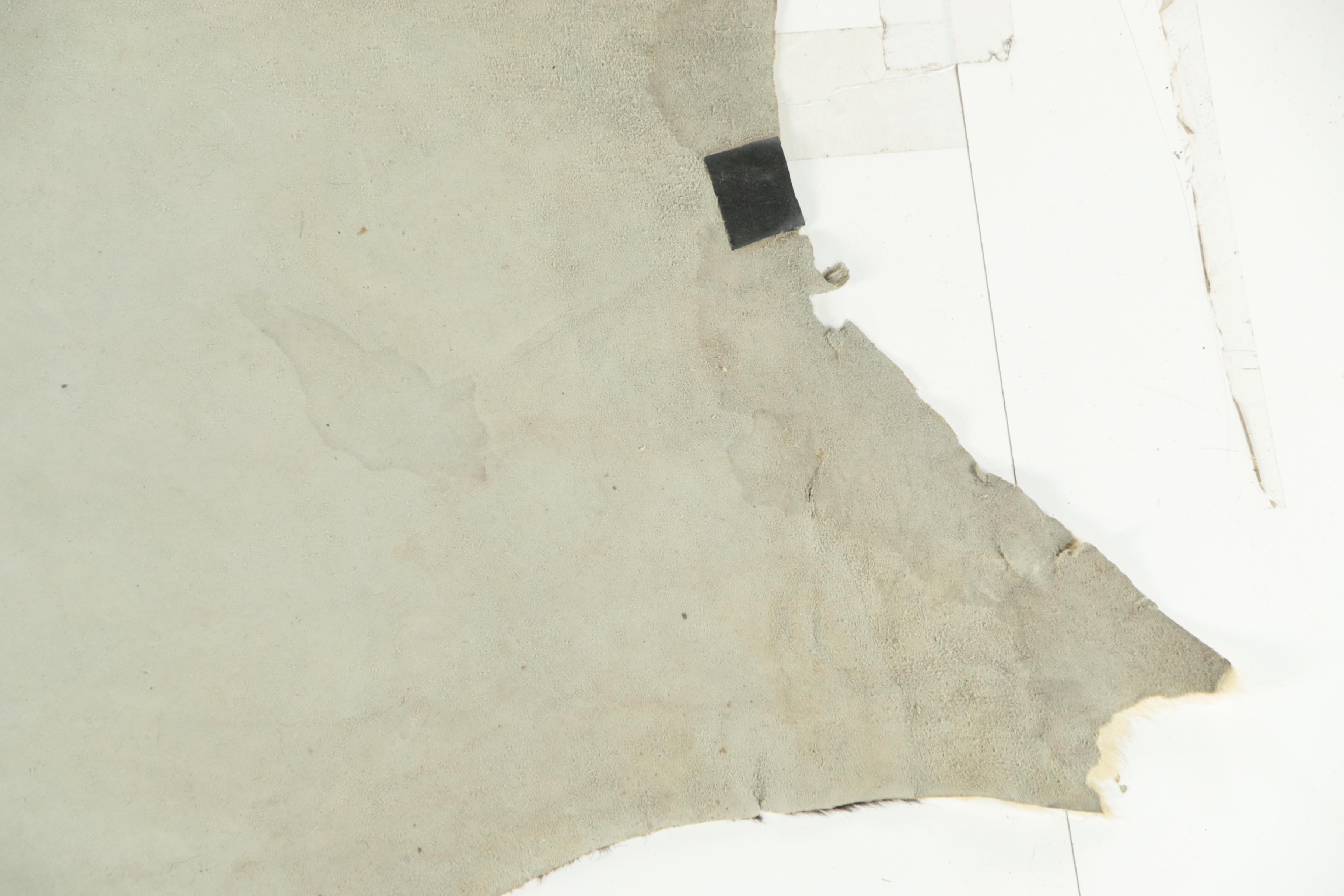 Vintage Brazilian Cowhide Area Rug