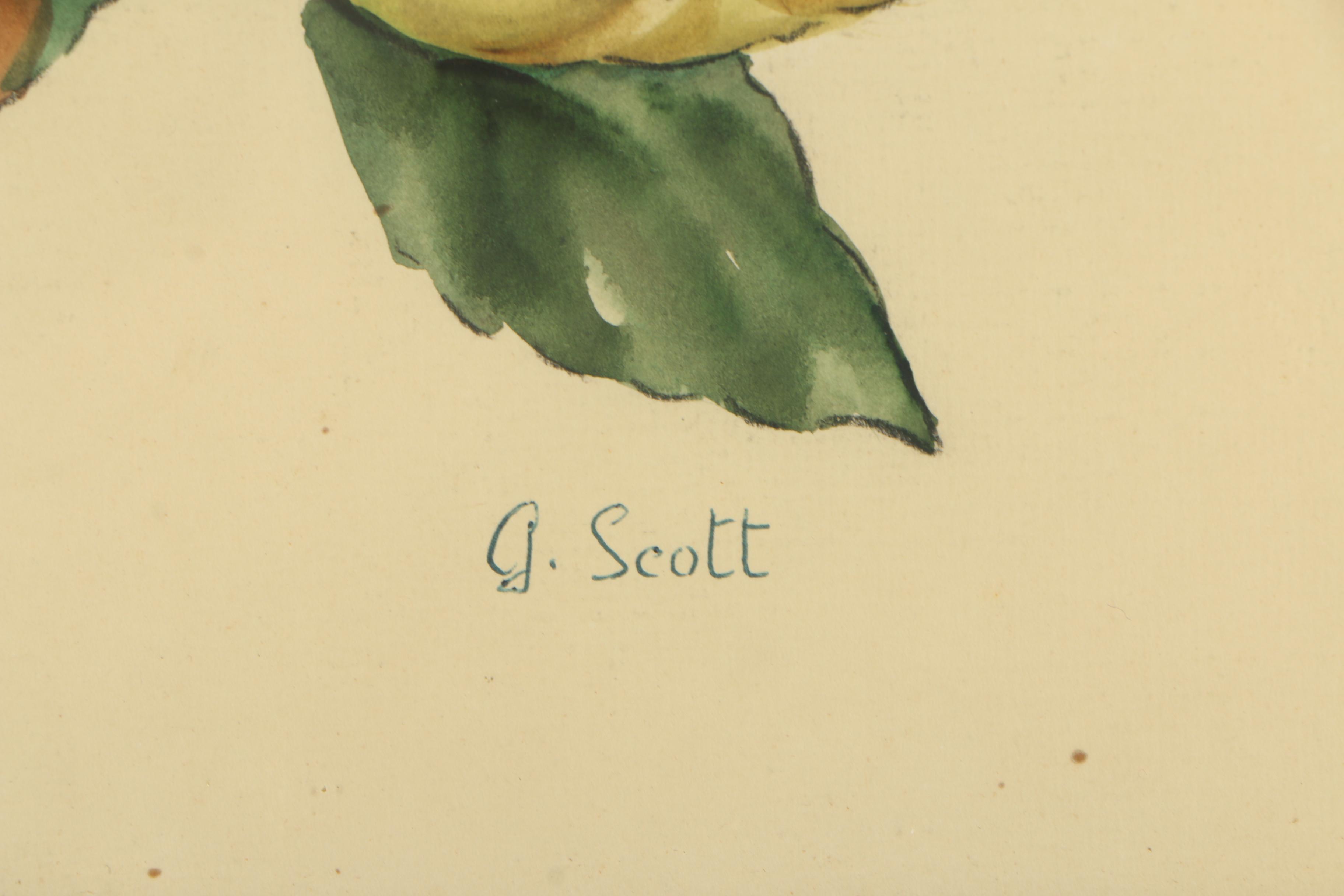 G. Scott Mid Century Mixed Media Paintings "Fruits"