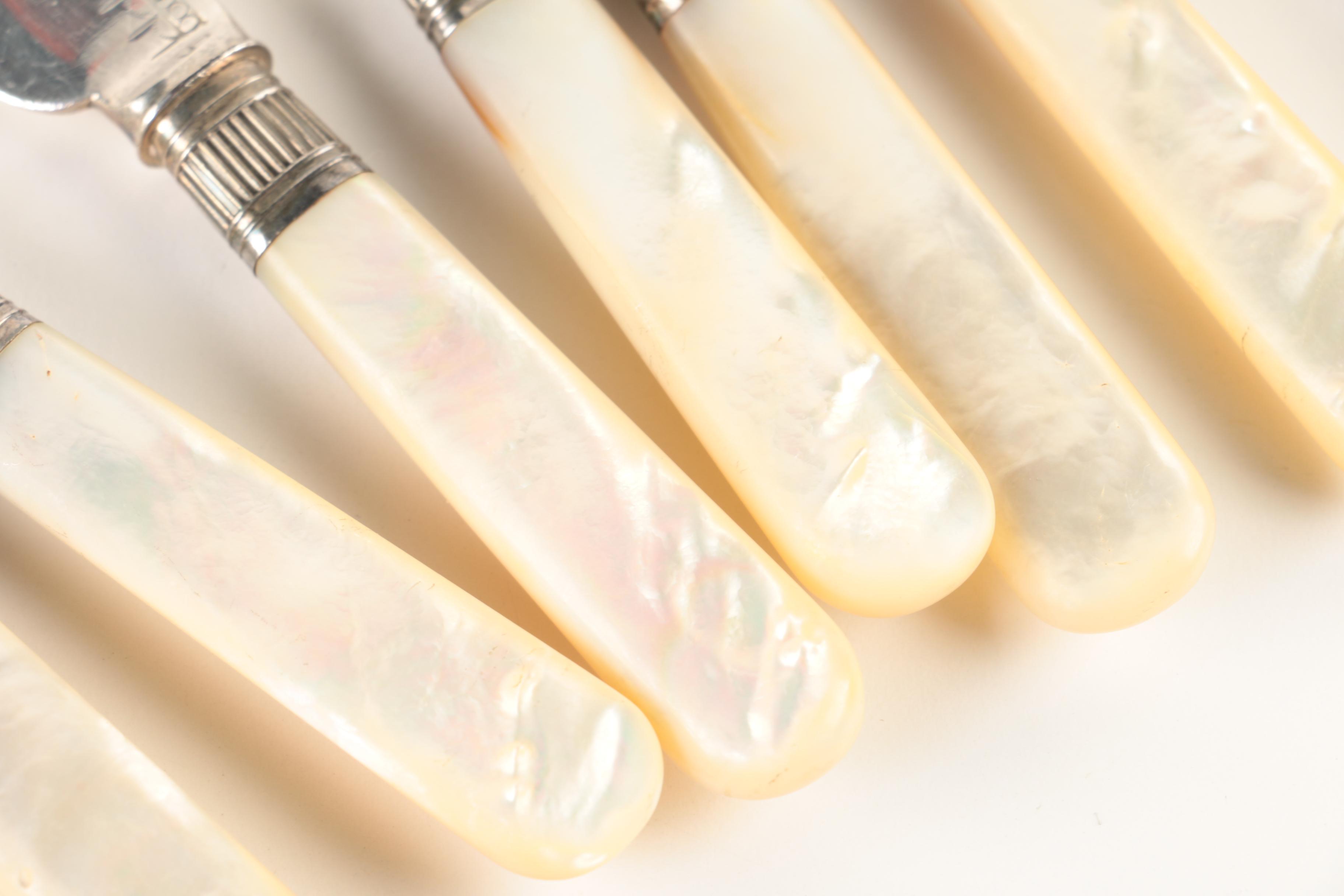 Mother of Pearl Handled Blunt Blade Dinner Knives with Case