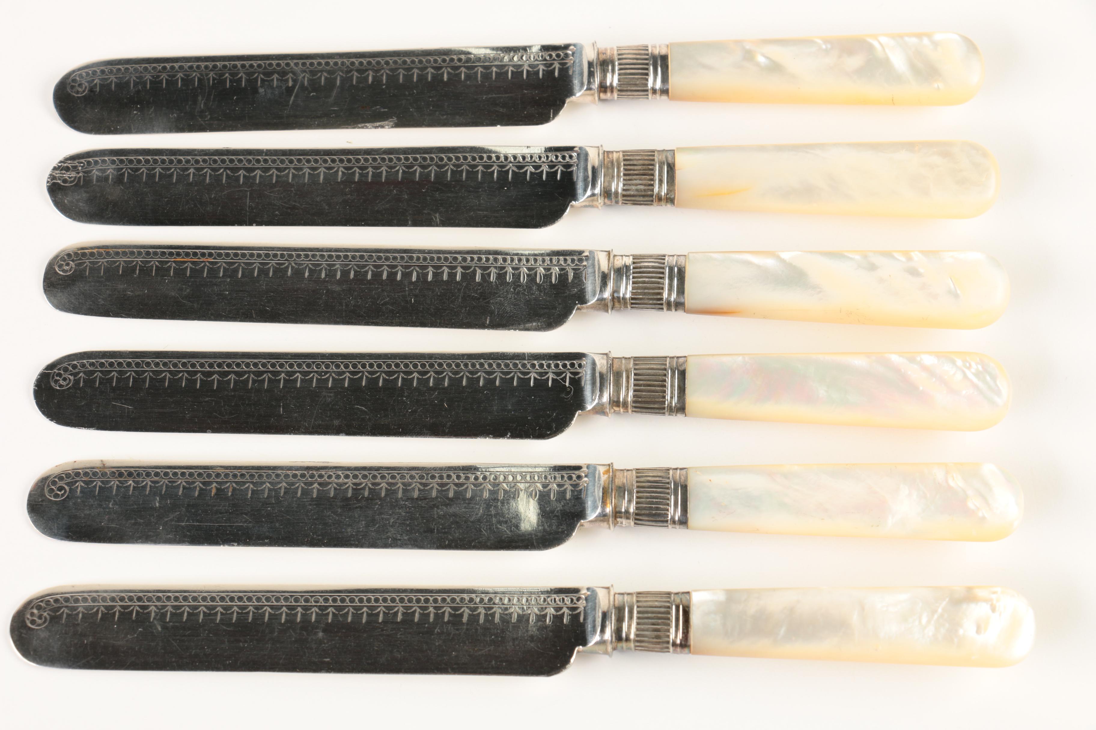 Mother of Pearl Handled Blunt Blade Dinner Knives with Case