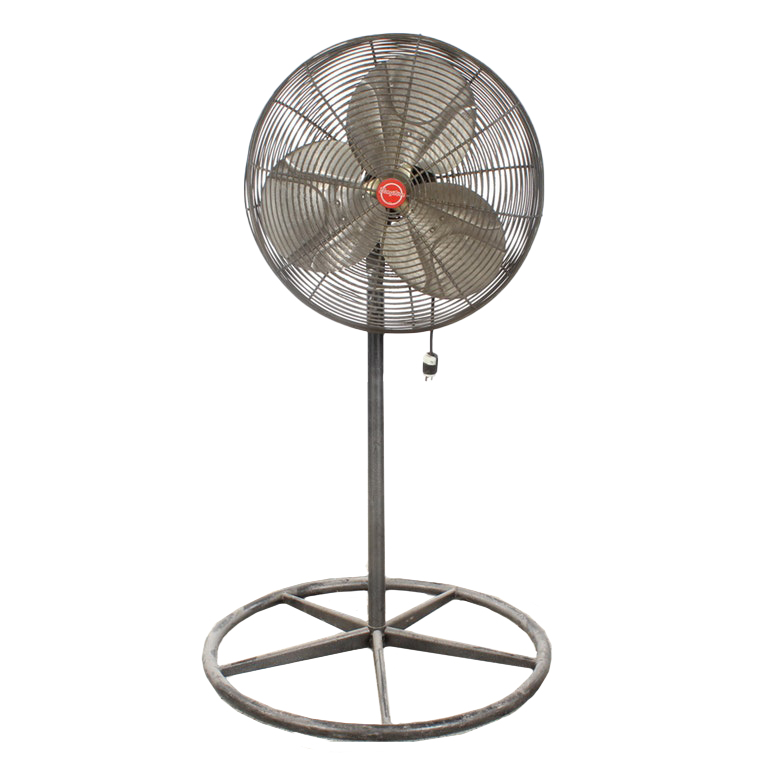 Dayton Industrial Pedestal Fan