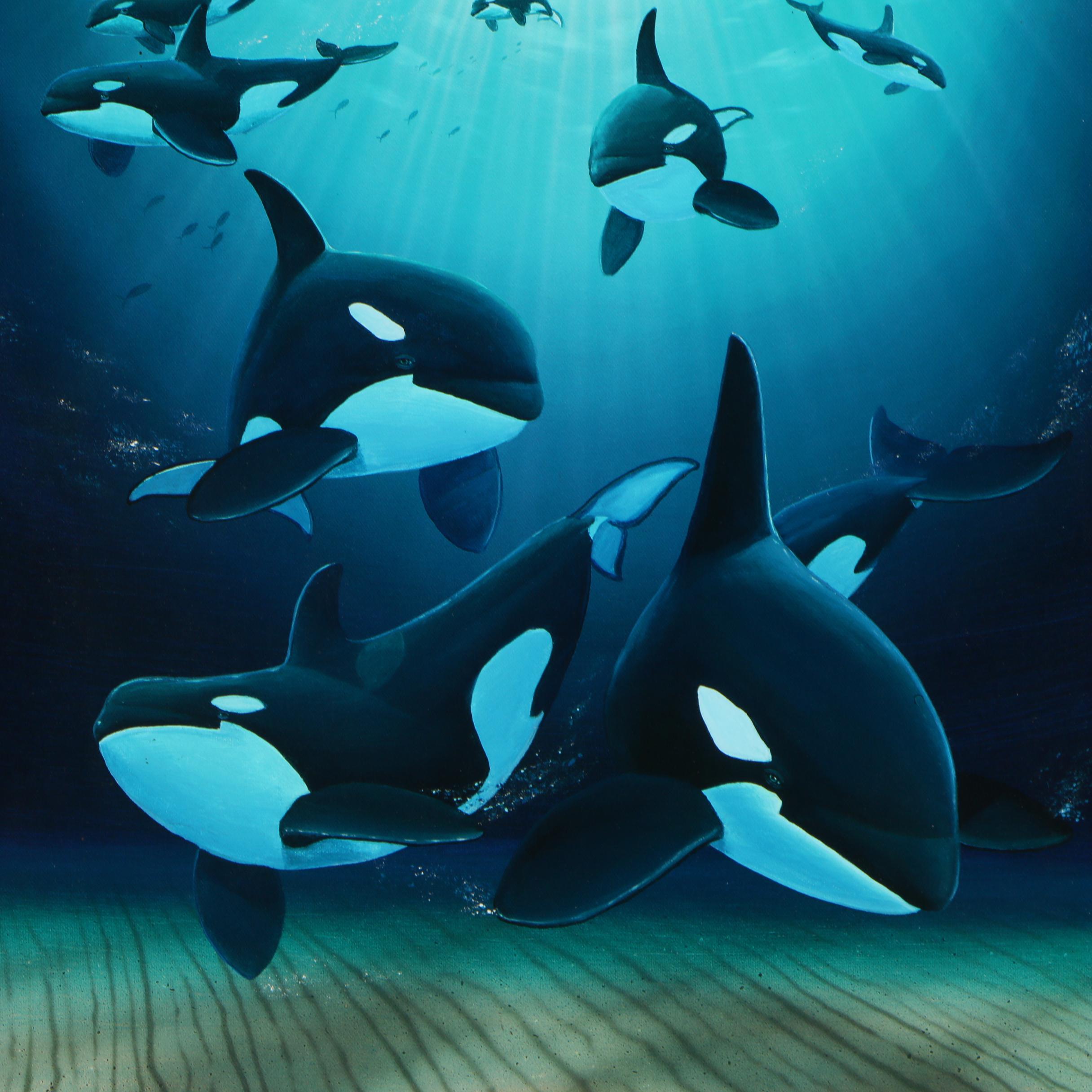 Wyland and Hogue Giclee "Guiding Light"